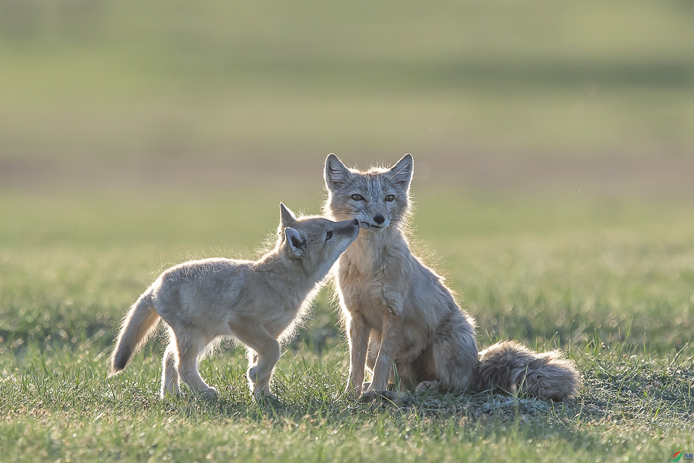 DSC_7247_1.jpg