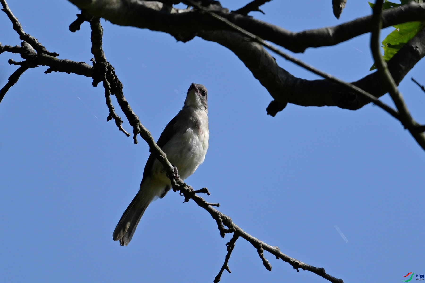 DSC_8900.JPG