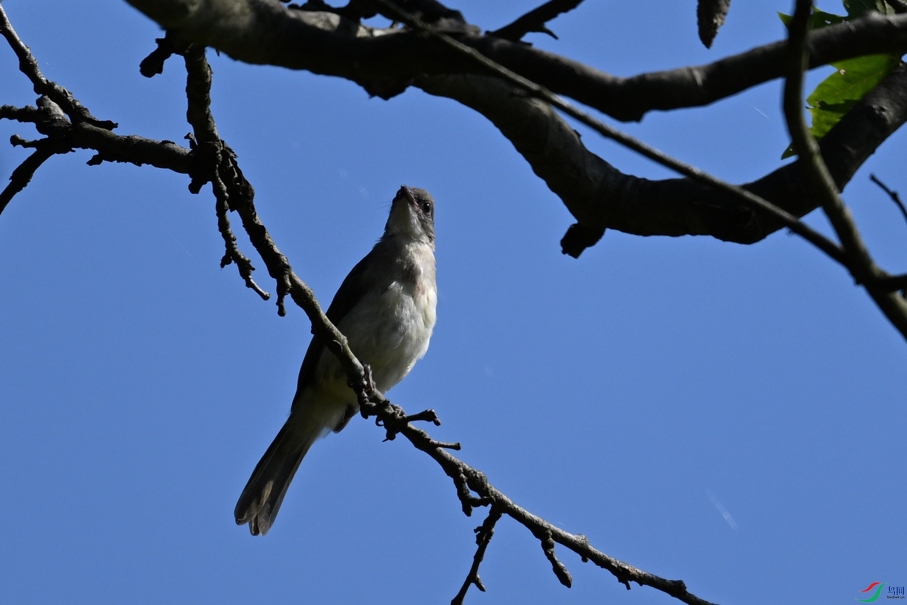 DSC_8901.JPG