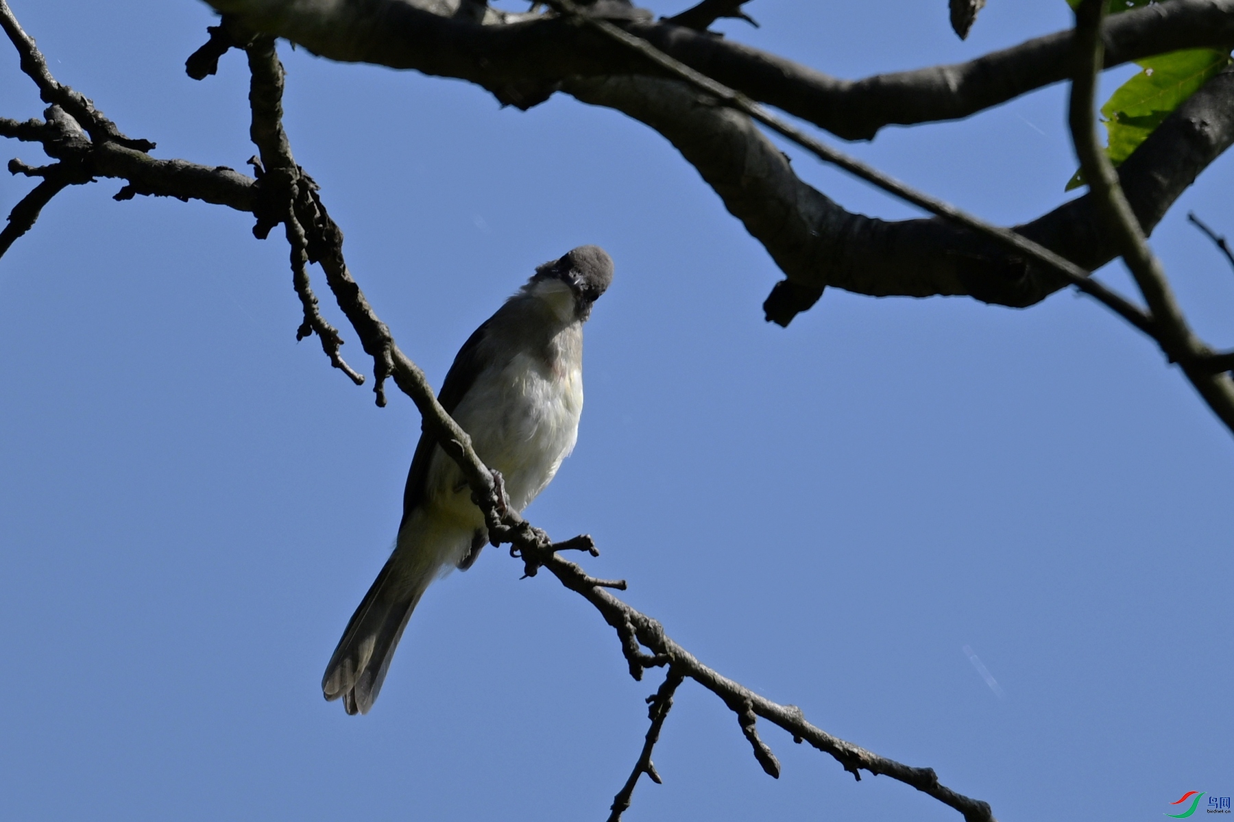 DSC_8903.JPG