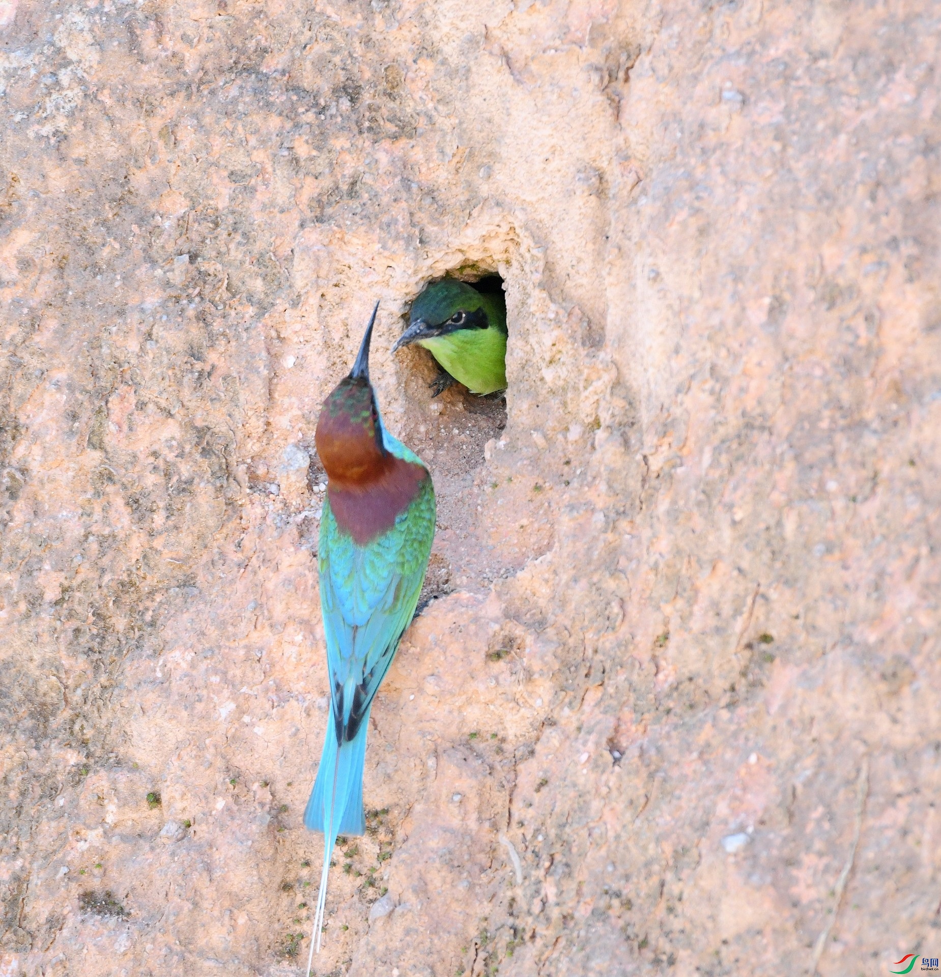 DSC_8127.jpg