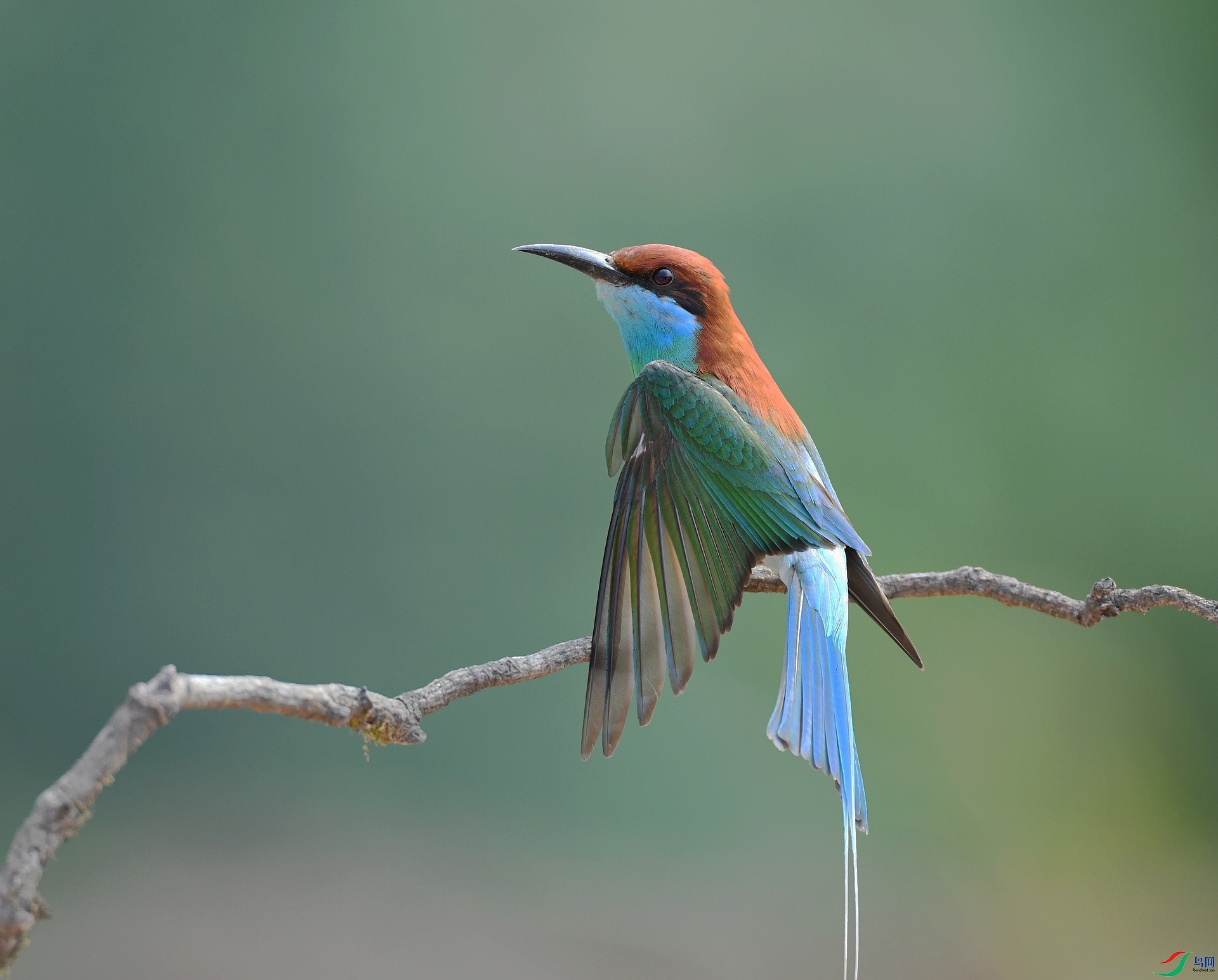 DSC_8024.jpg