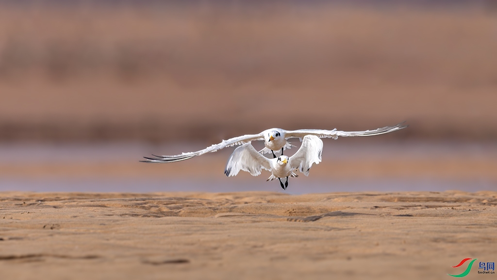 sdrzR5250914 (3297).jpg