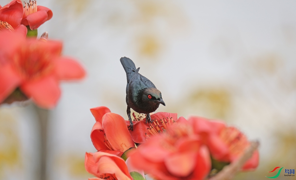 DSCF7317.1.jpg