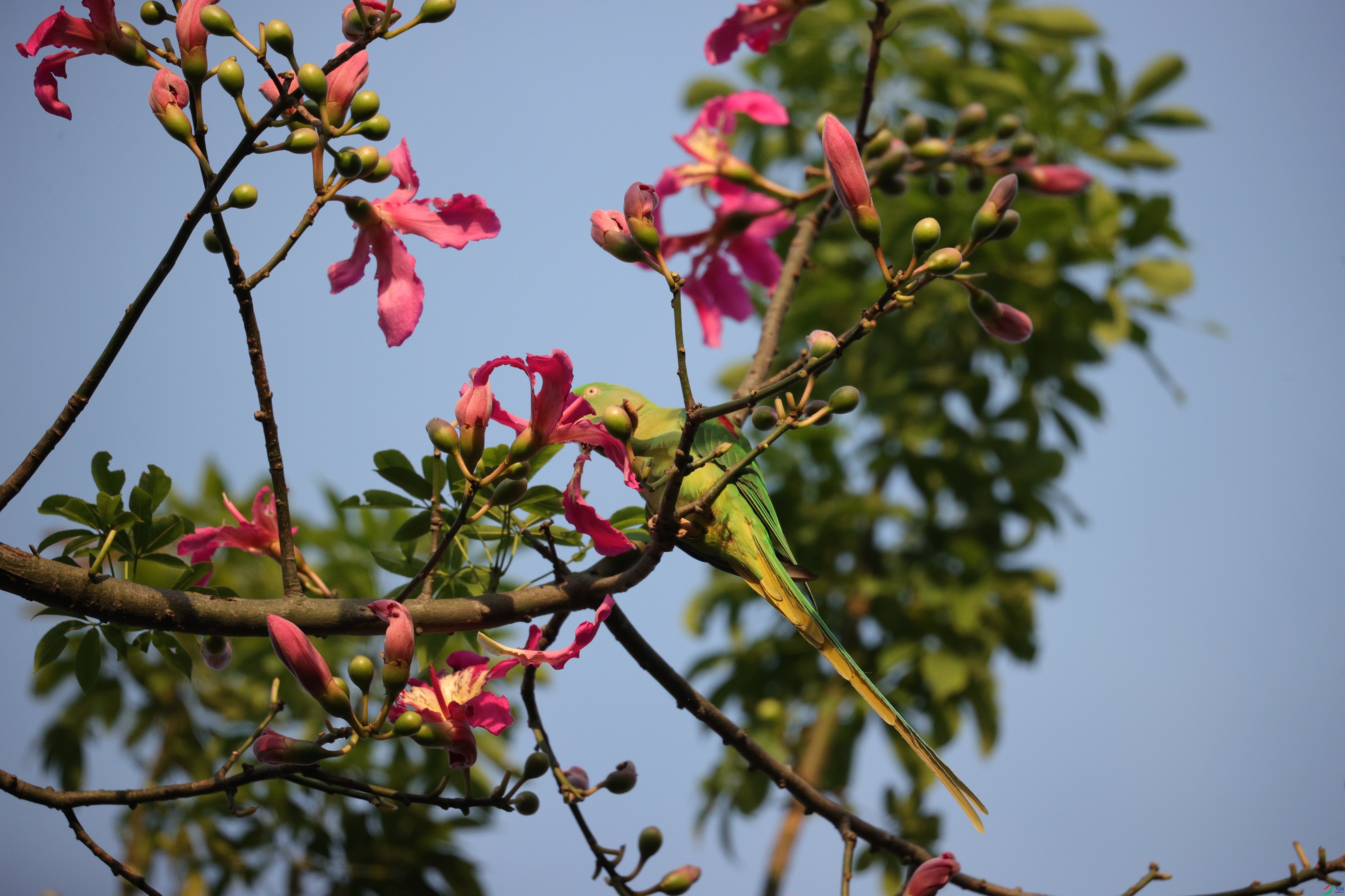 5814��ש����