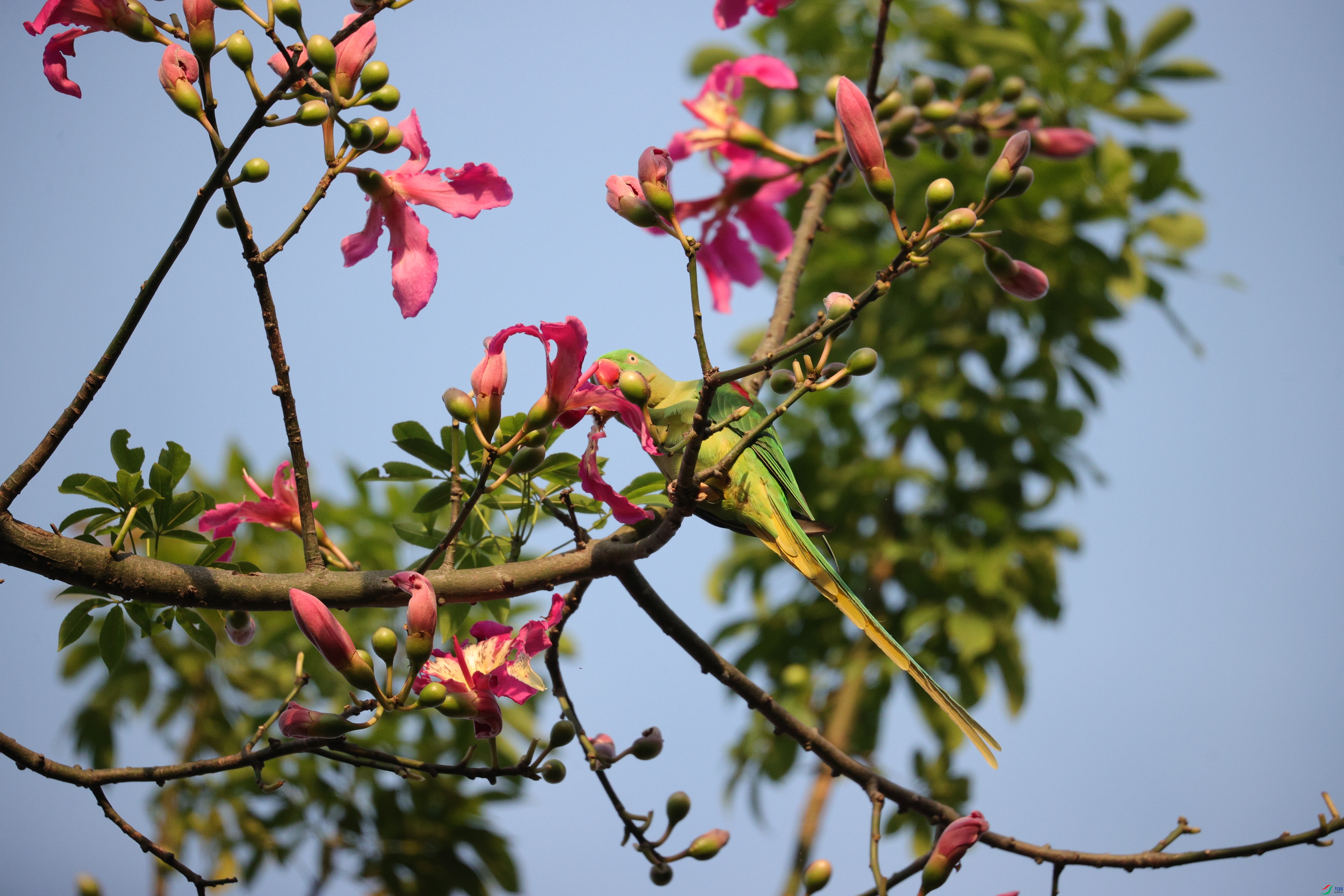 5821��ש����