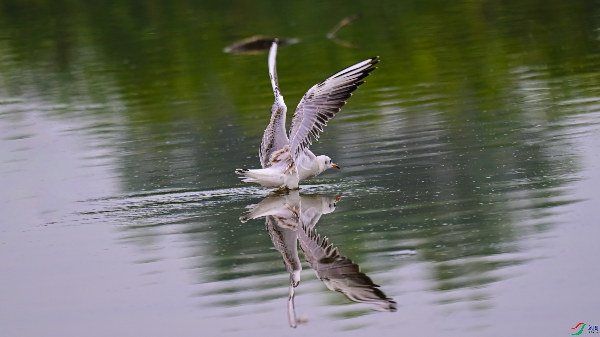 DSC_3692_��ͼ��.jpg