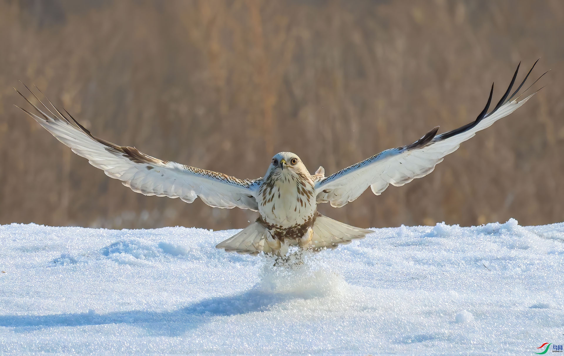 3��������