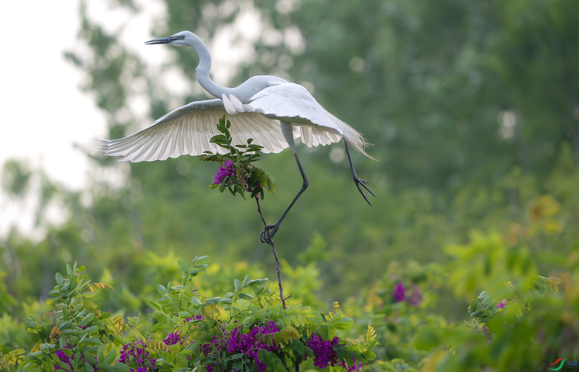 DSC05757-����ǿ-NR ����.jpg