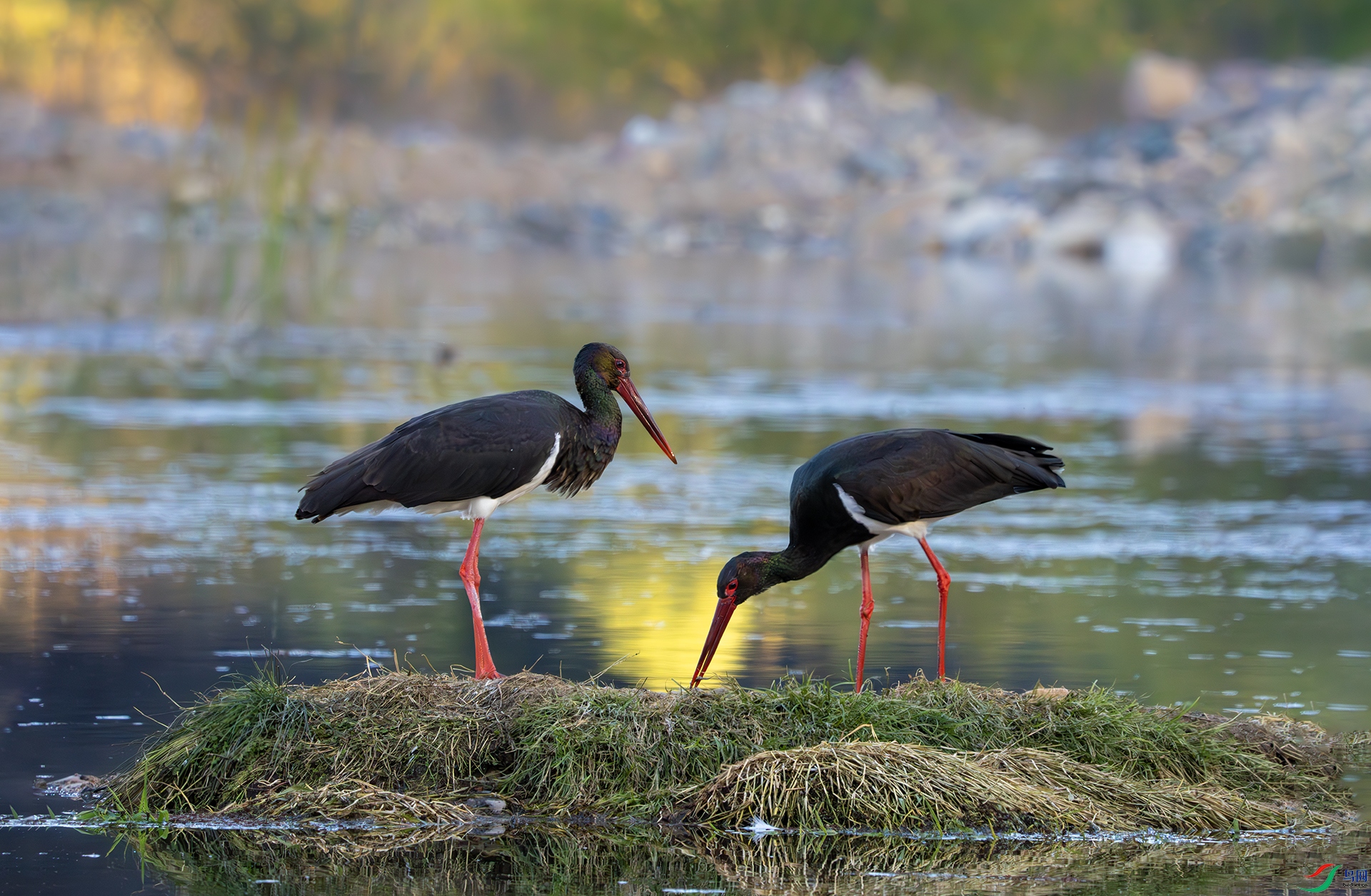 DSC05086-����ǿ-NR ����.jpg