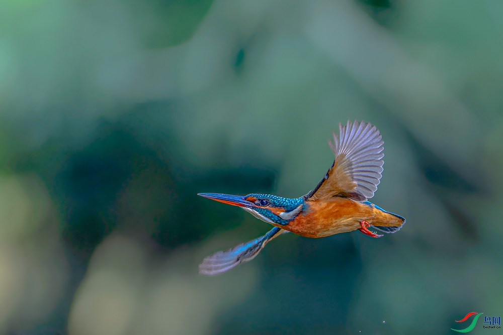 DSC_0417_DxOAB.jpg