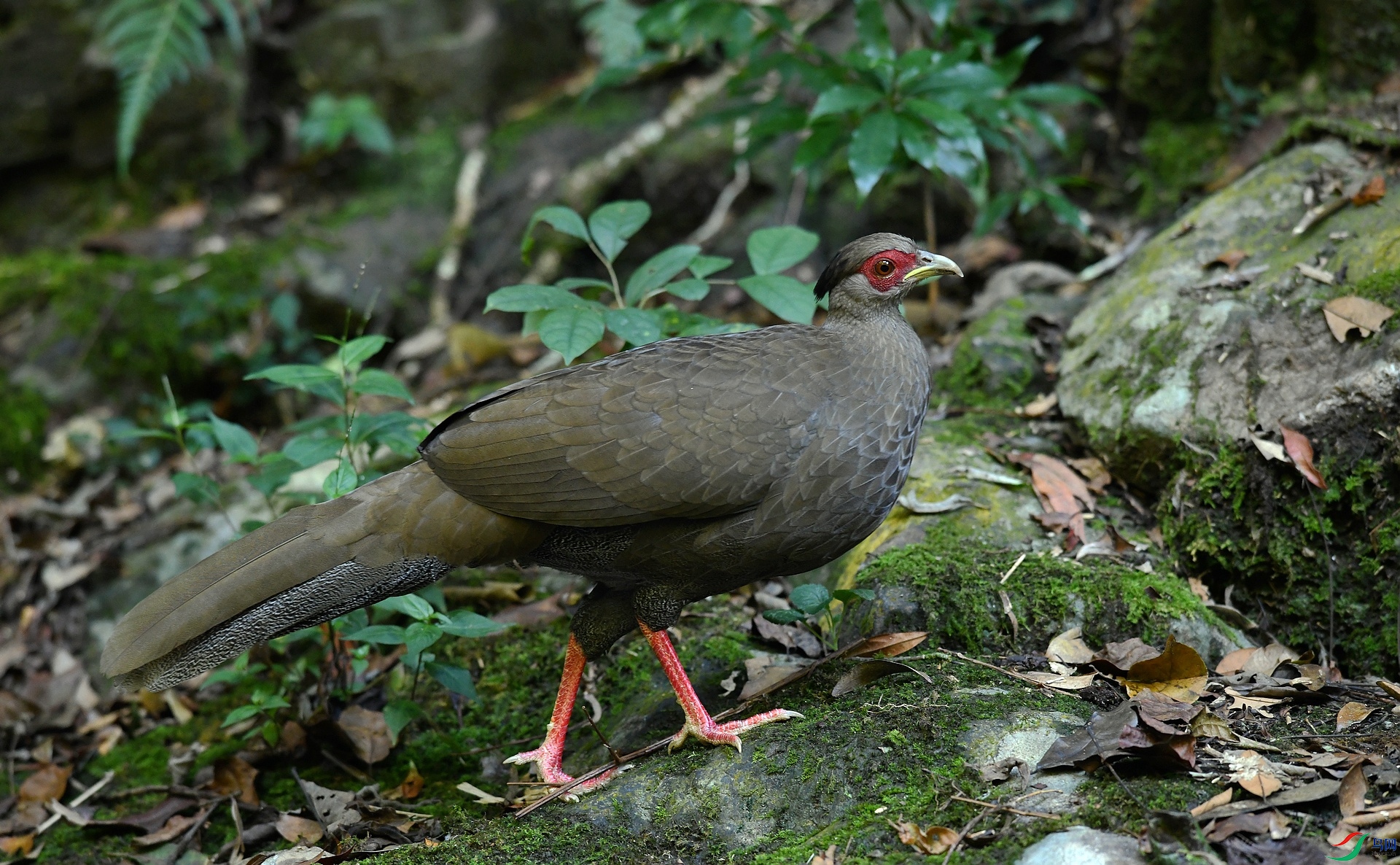 DSC_2692.jpg