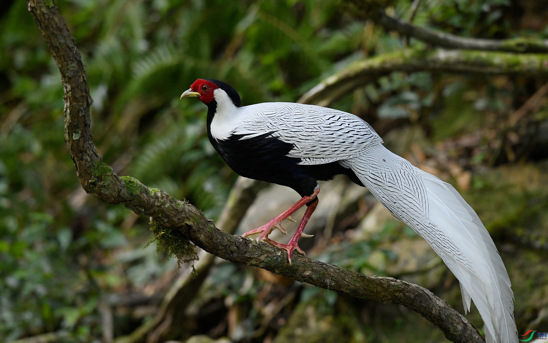 DSC_2765.jpg