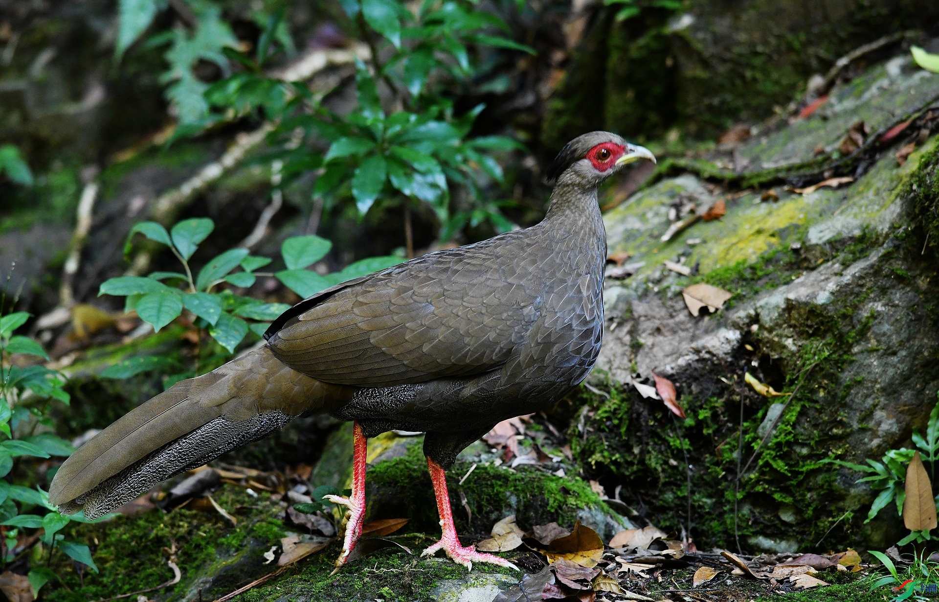 DSC_2695.jpg