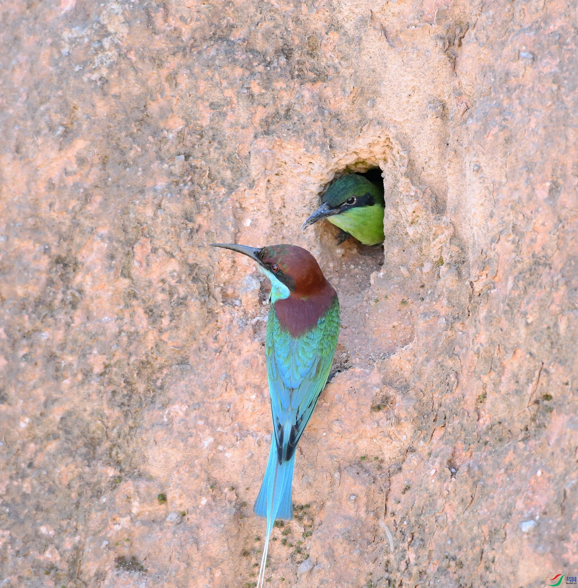 DSC_8124.jpg