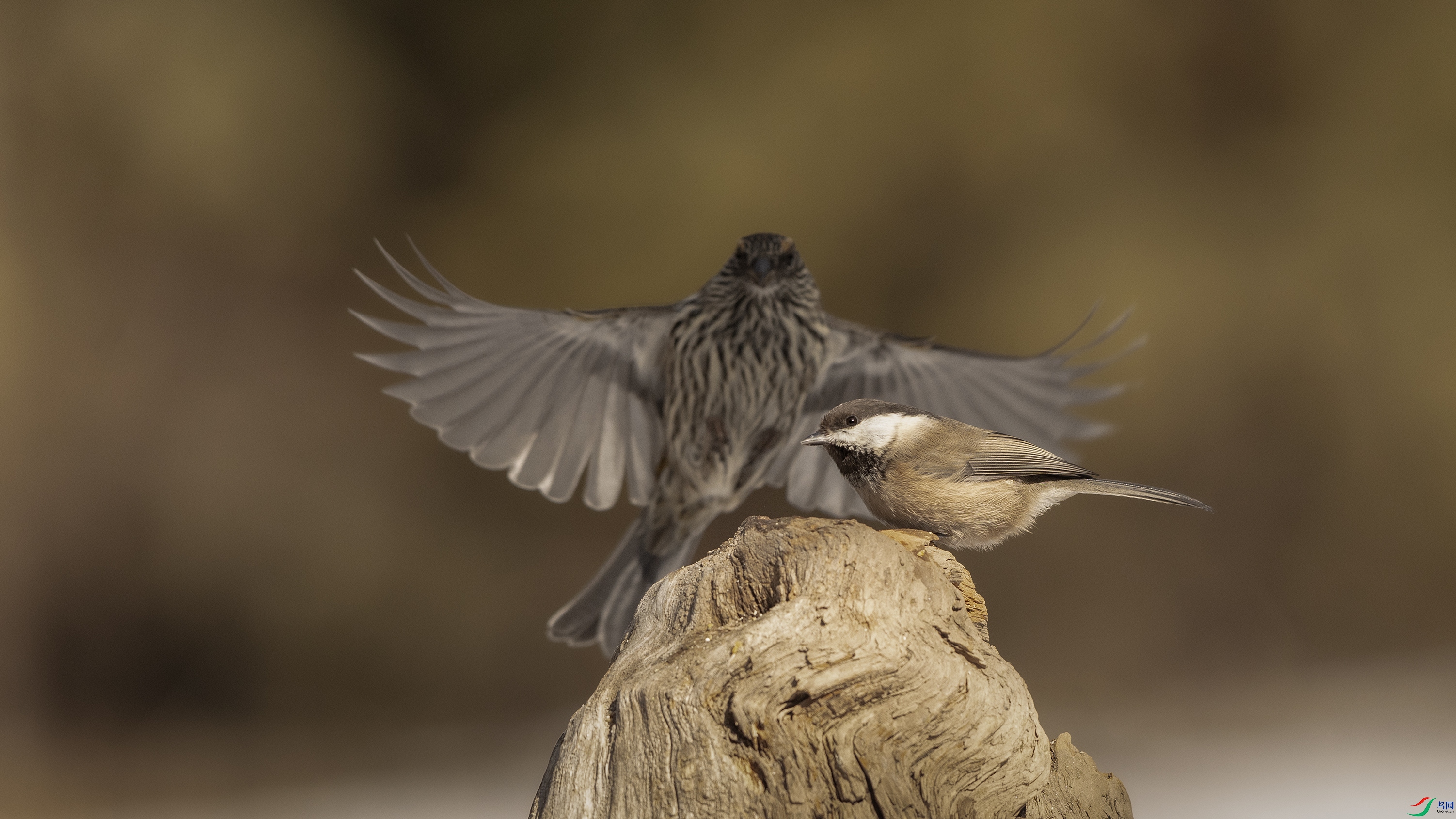 7X5A0535 ����.jpg