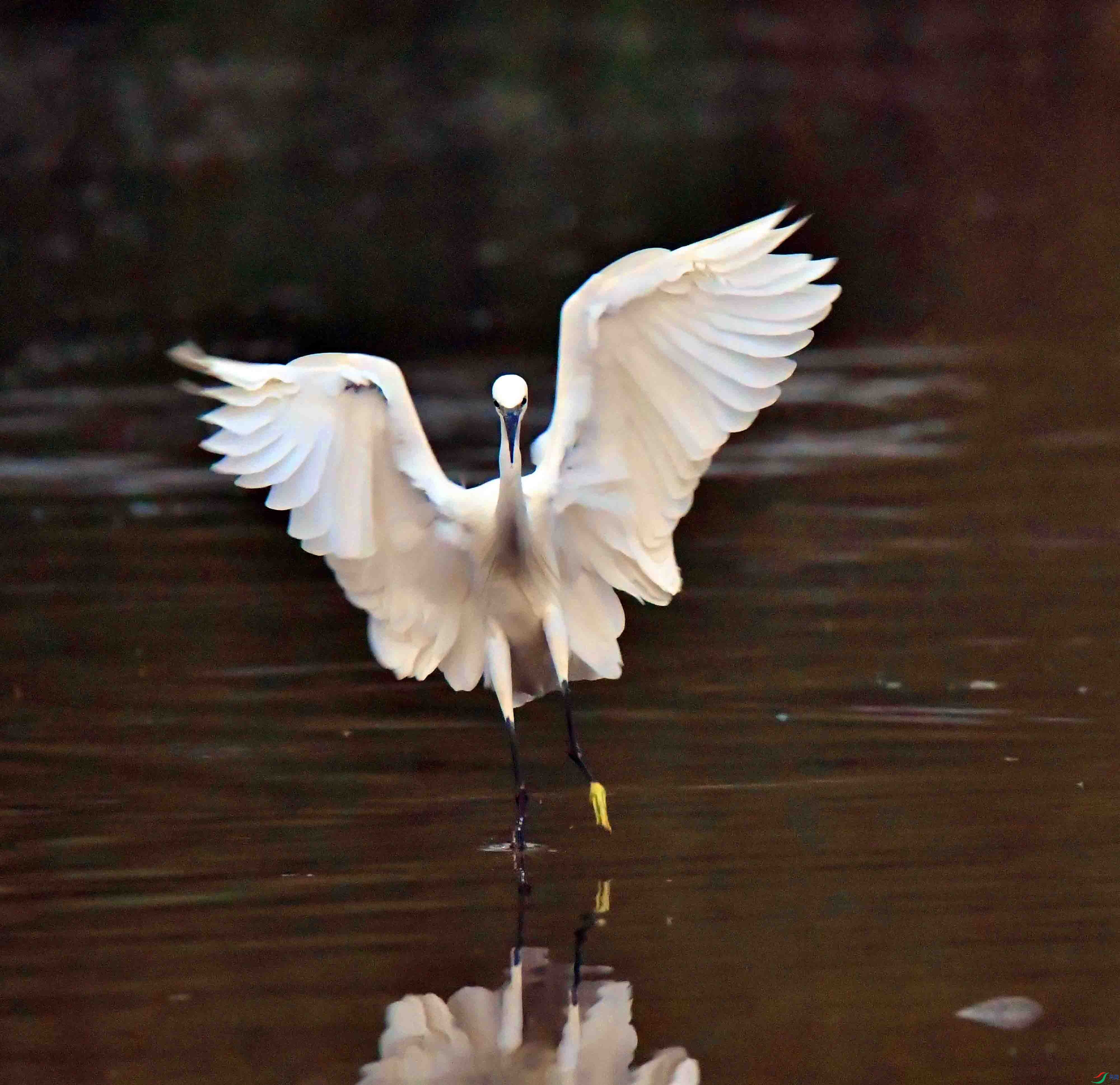 DSC_0555.JPG