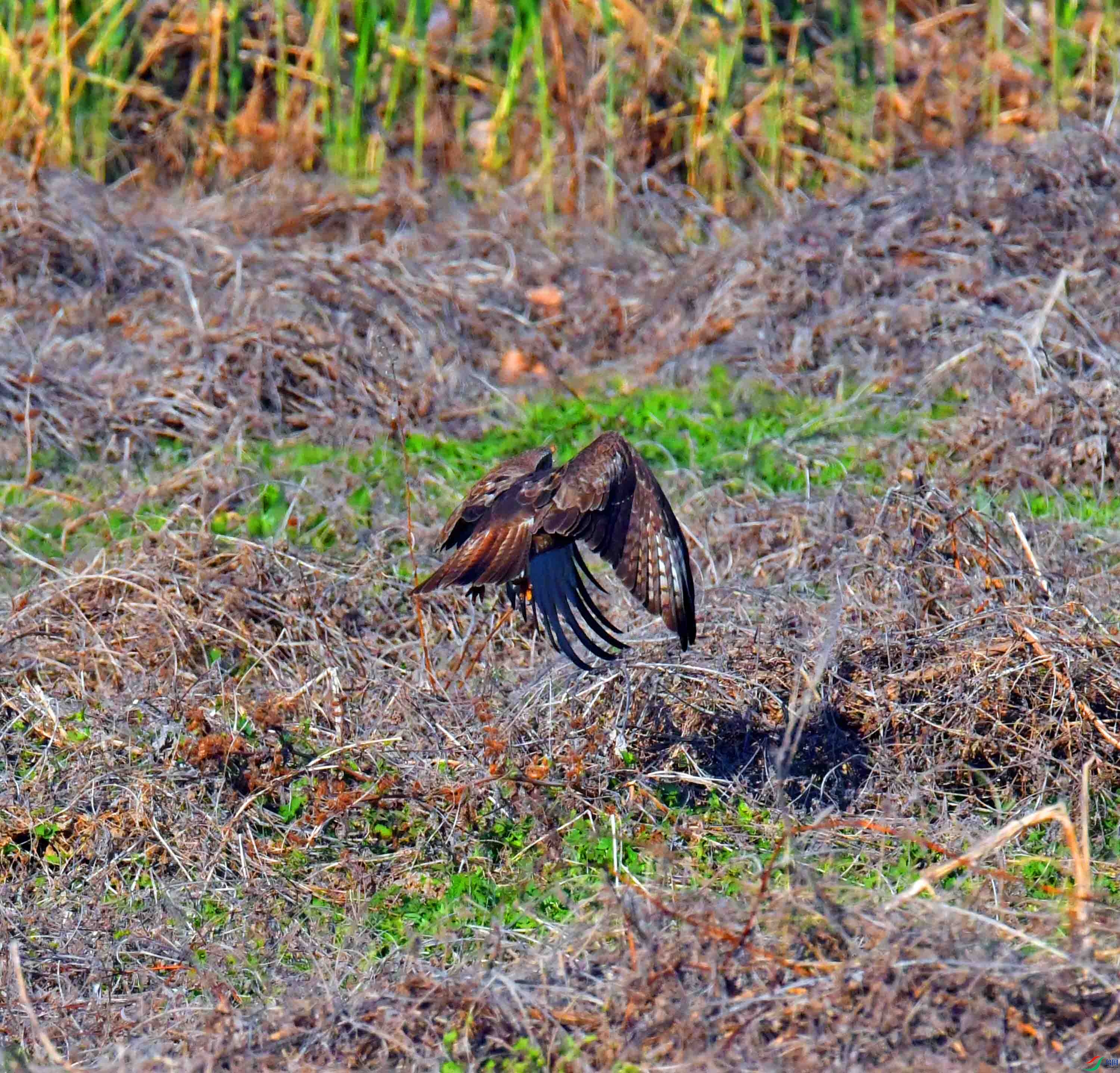 DSC_8095.JPG