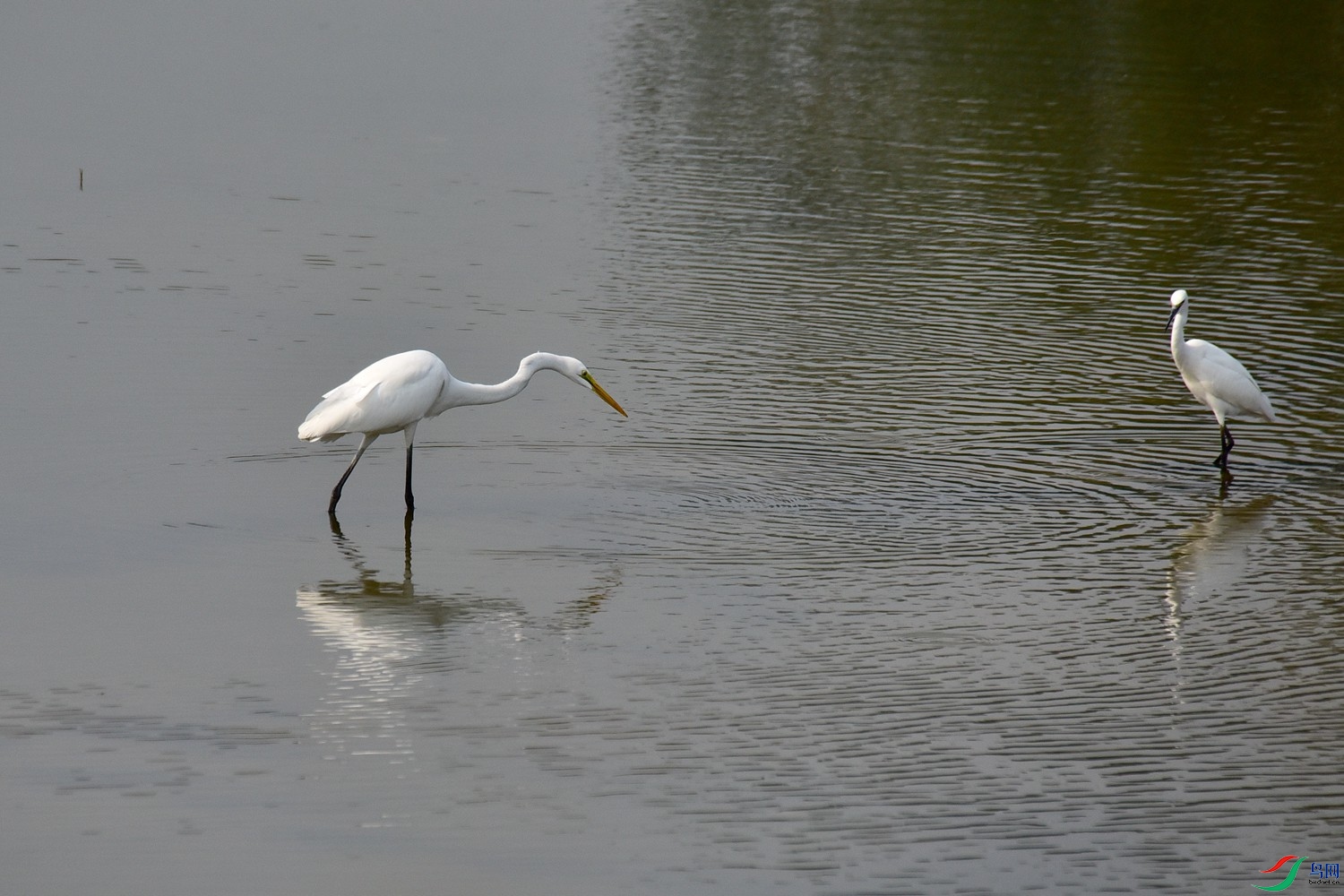 DSC_4054.JPG