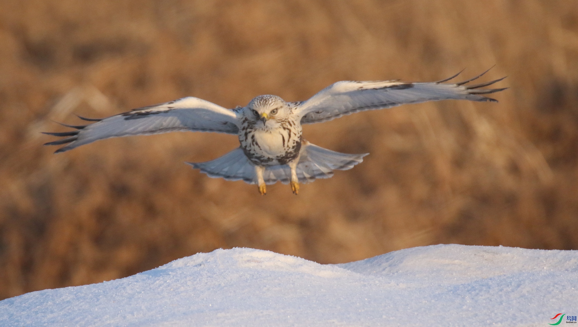 0G1A5126 ����.jpg