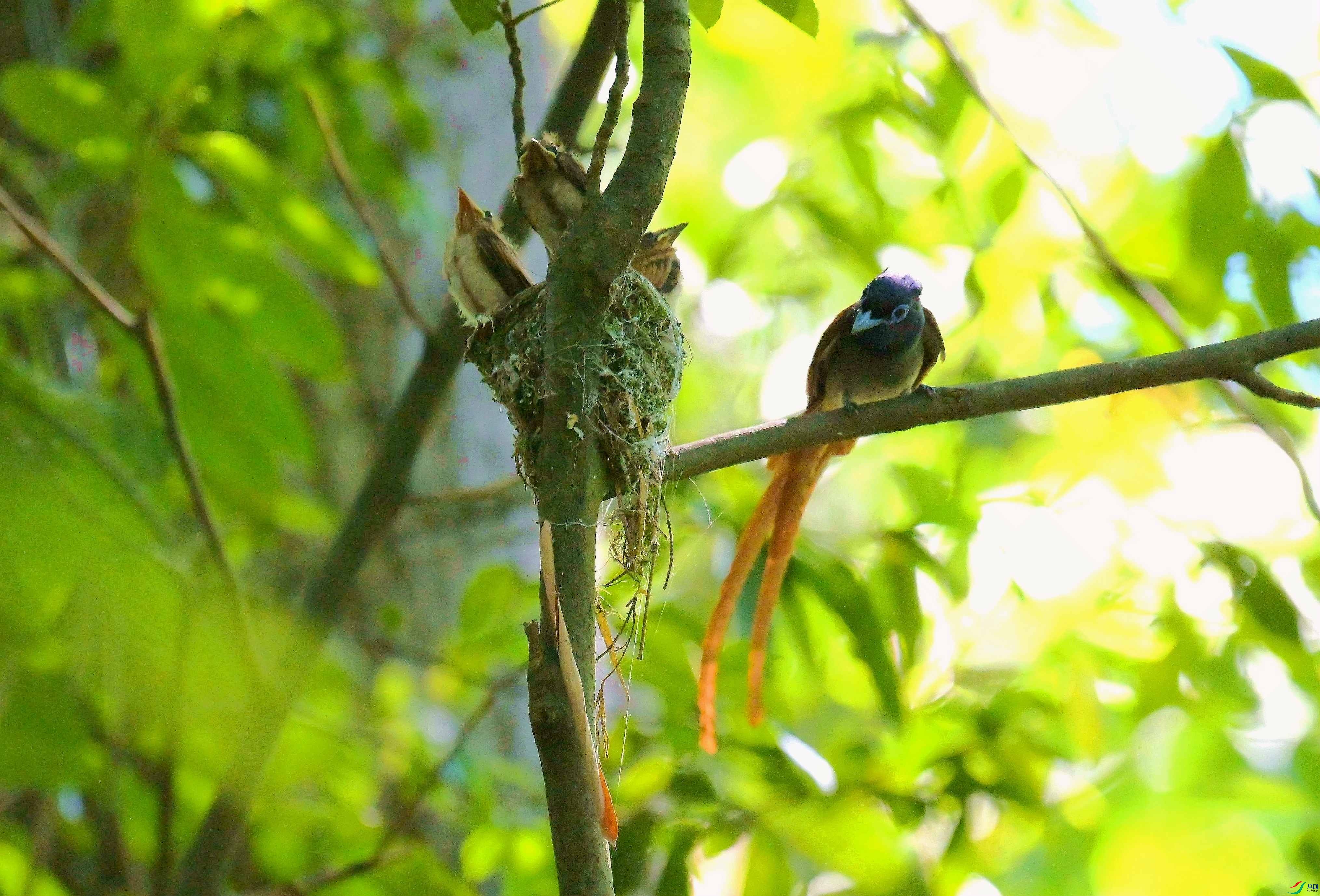 DSC_6278.jpg