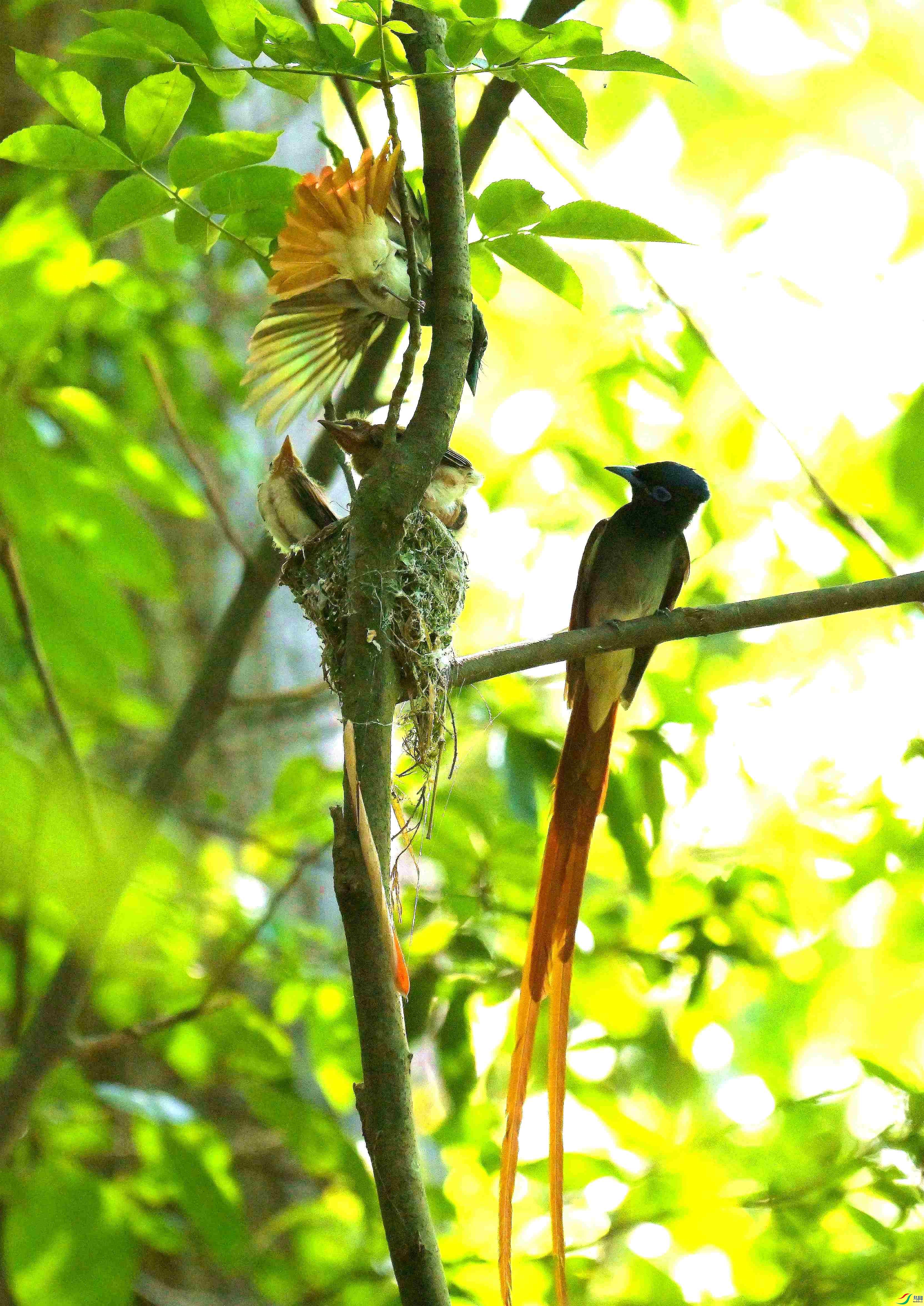 DSC_6254.jpg