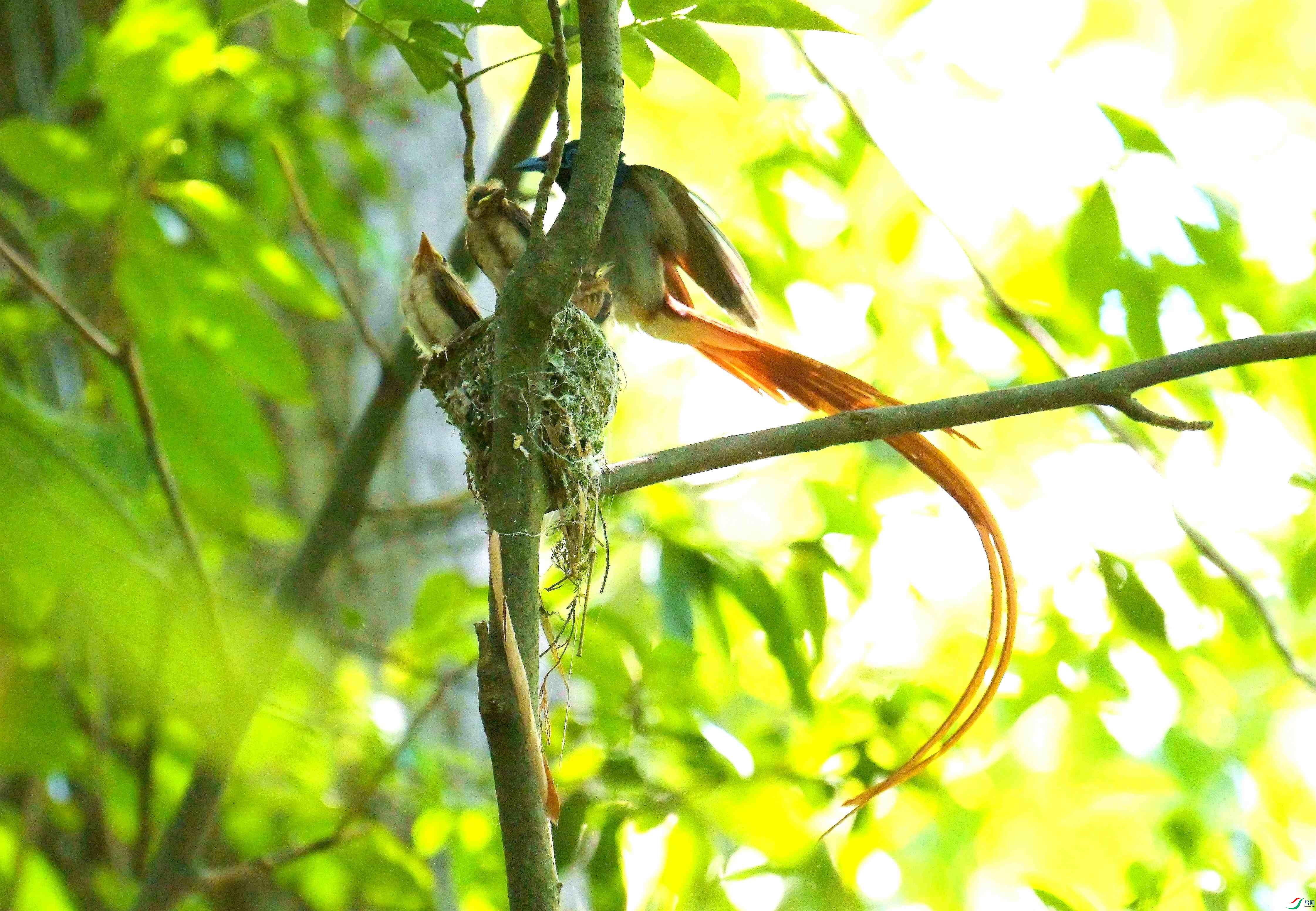 DSC_6318.jpg