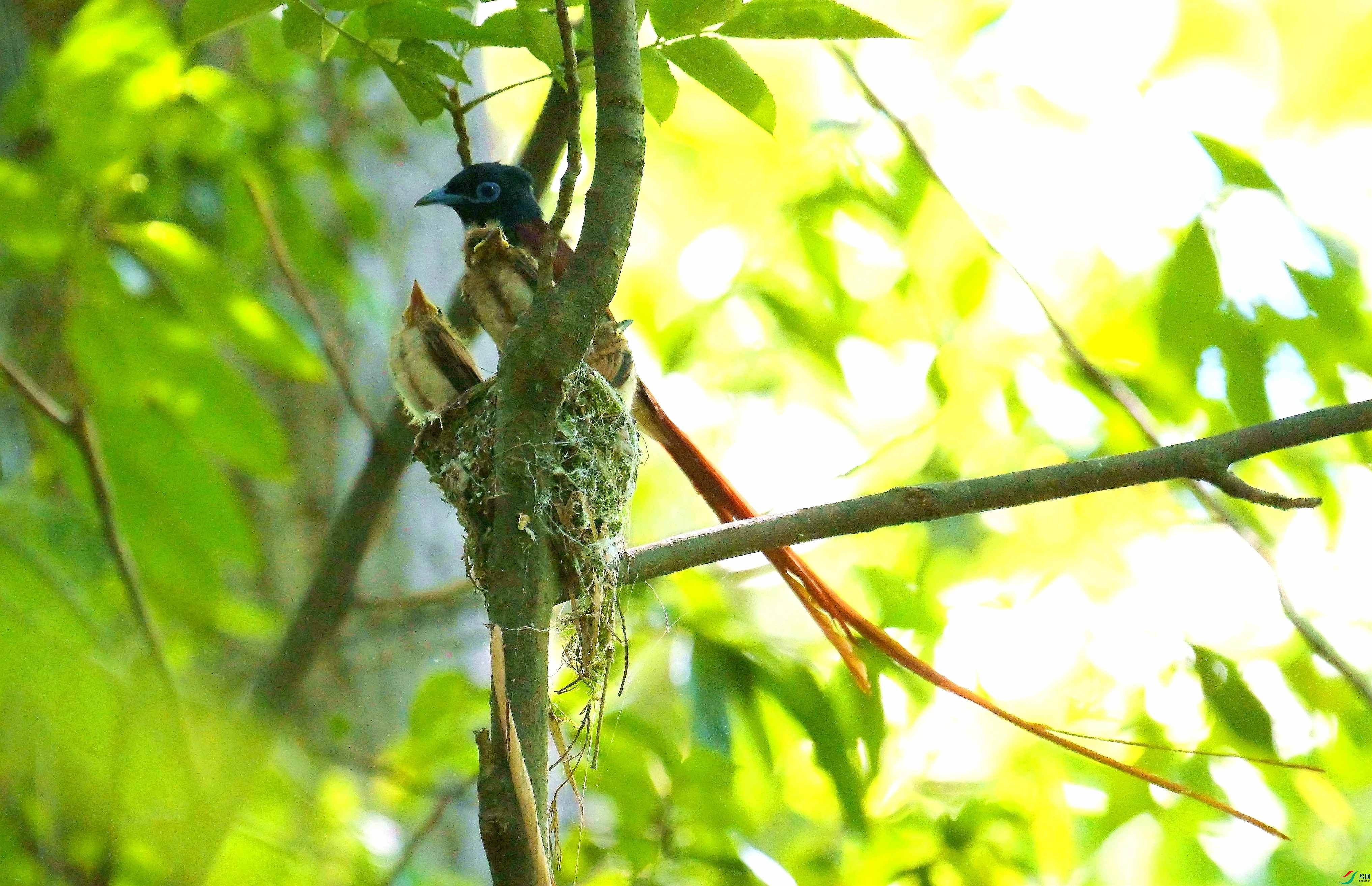 DSC_6321.jpg