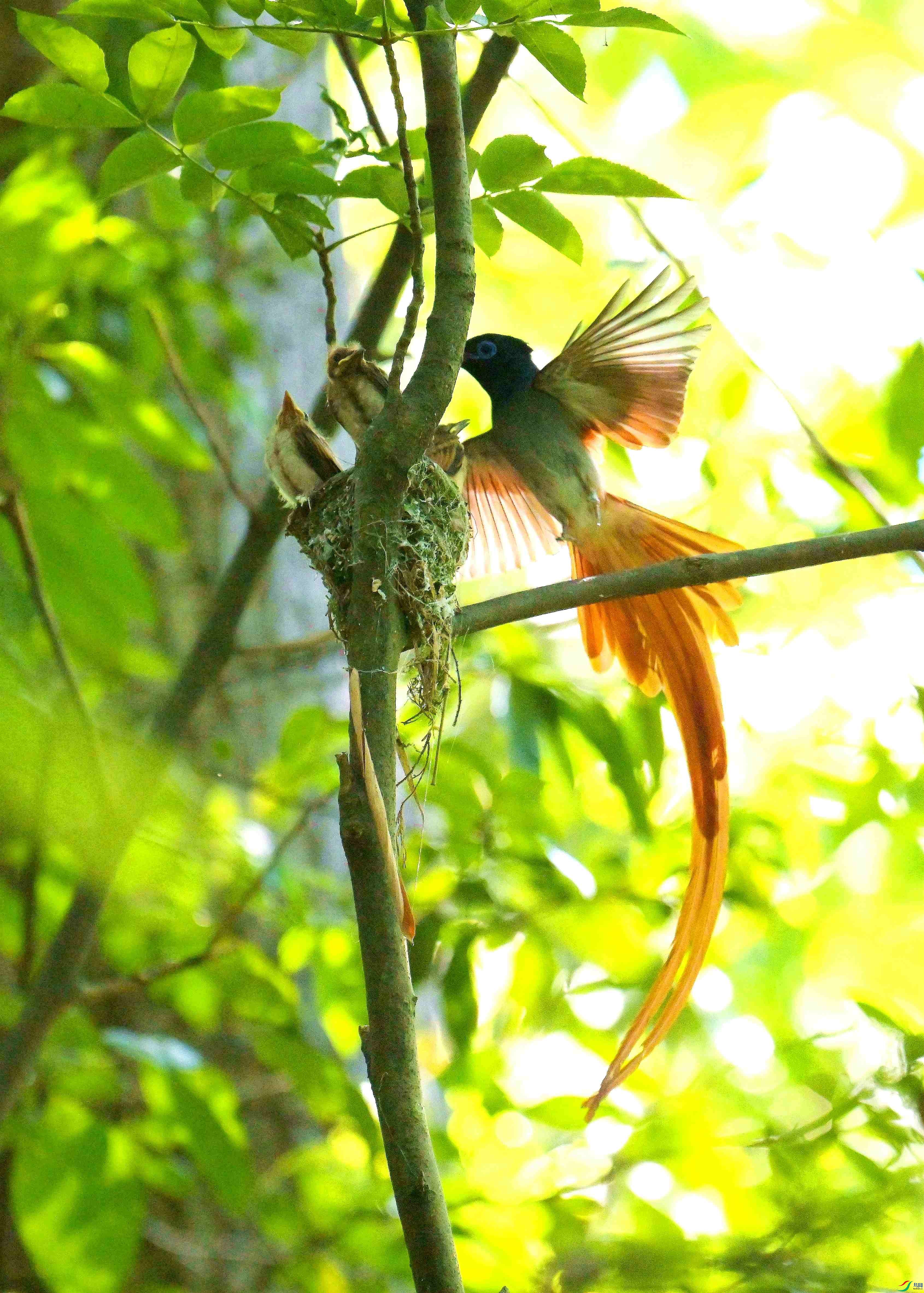 DSC_6317.jpg