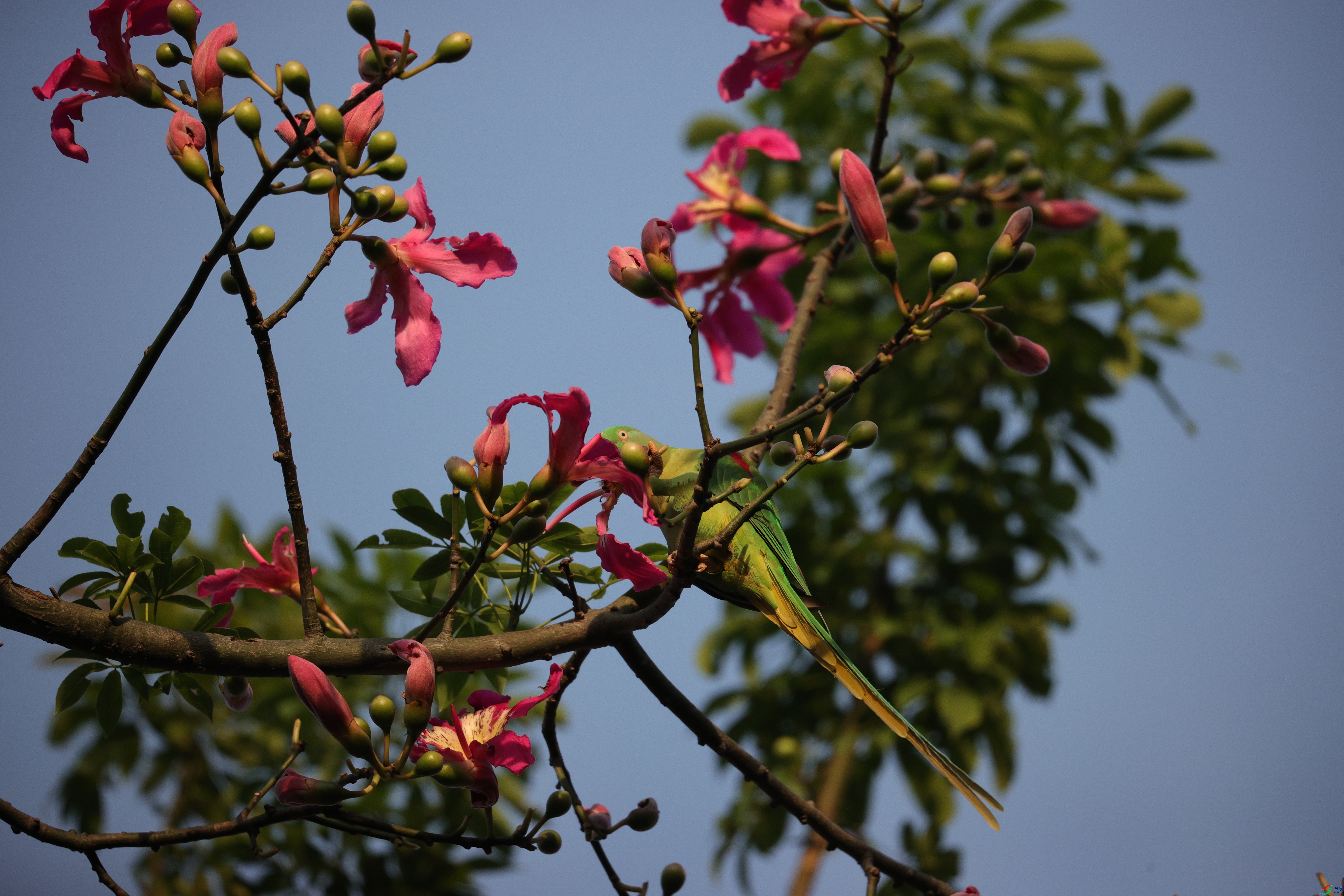 5902��ש����