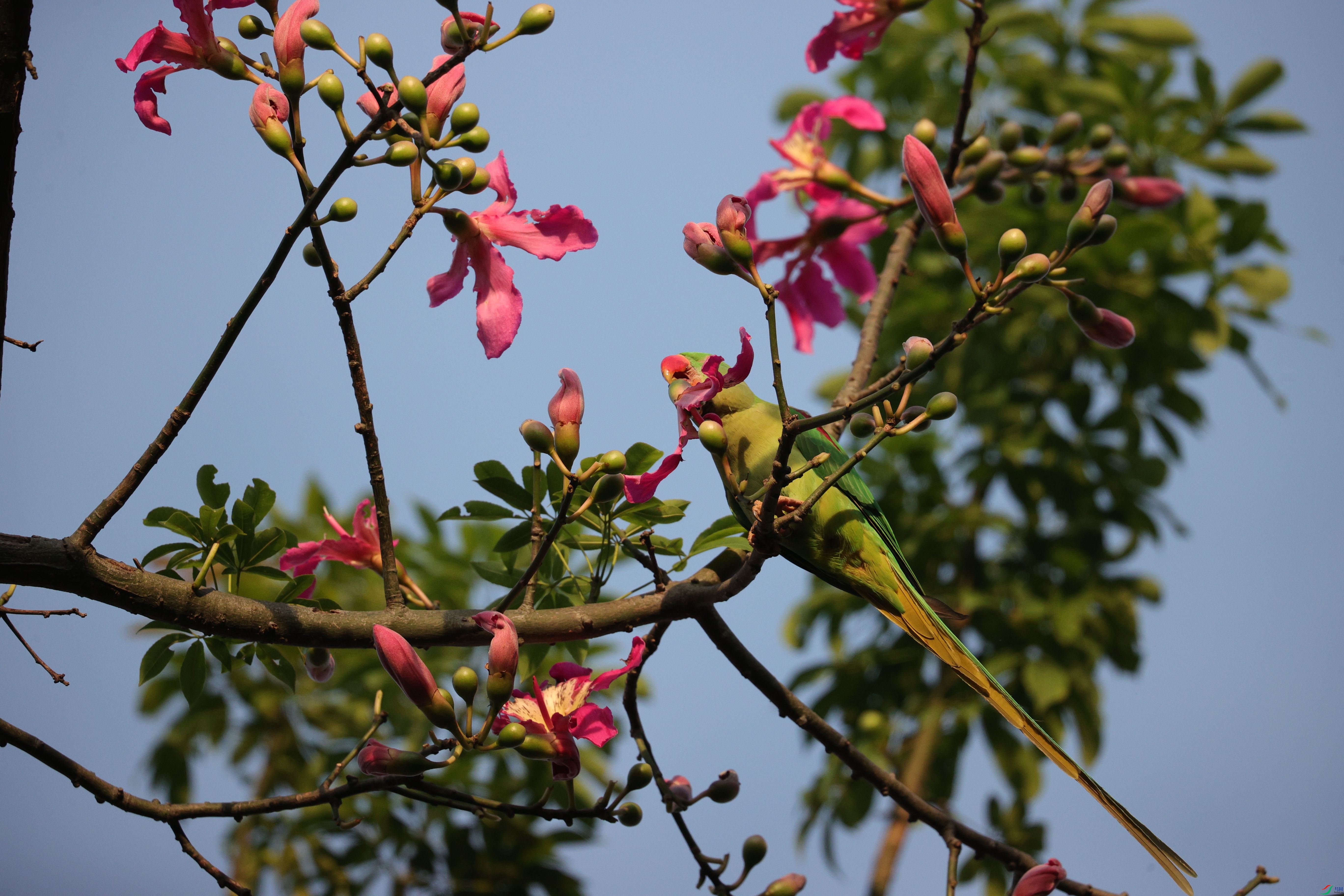 5910��ש����