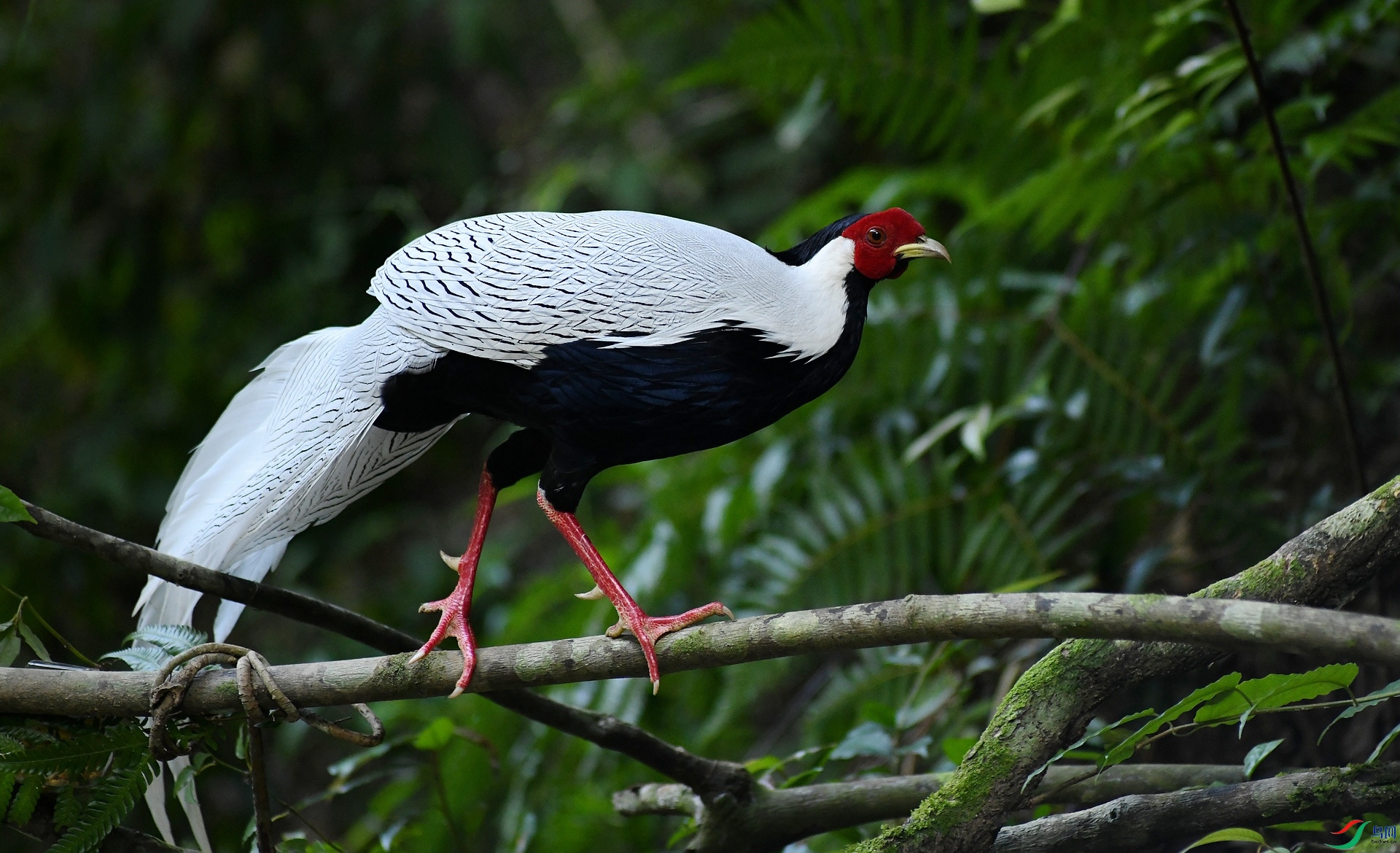 DSC_6318.jpg