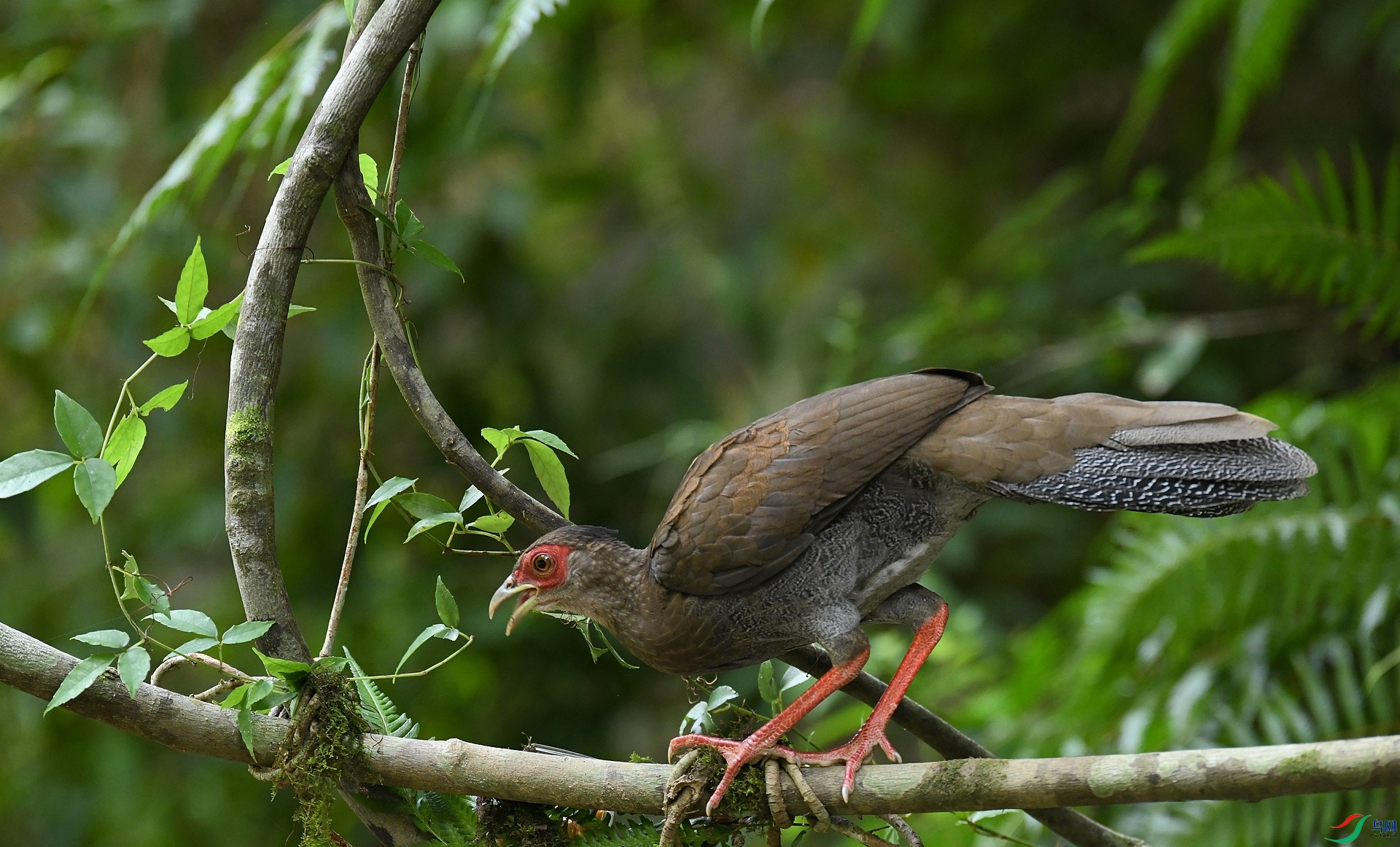 DSC_6972.jpg
