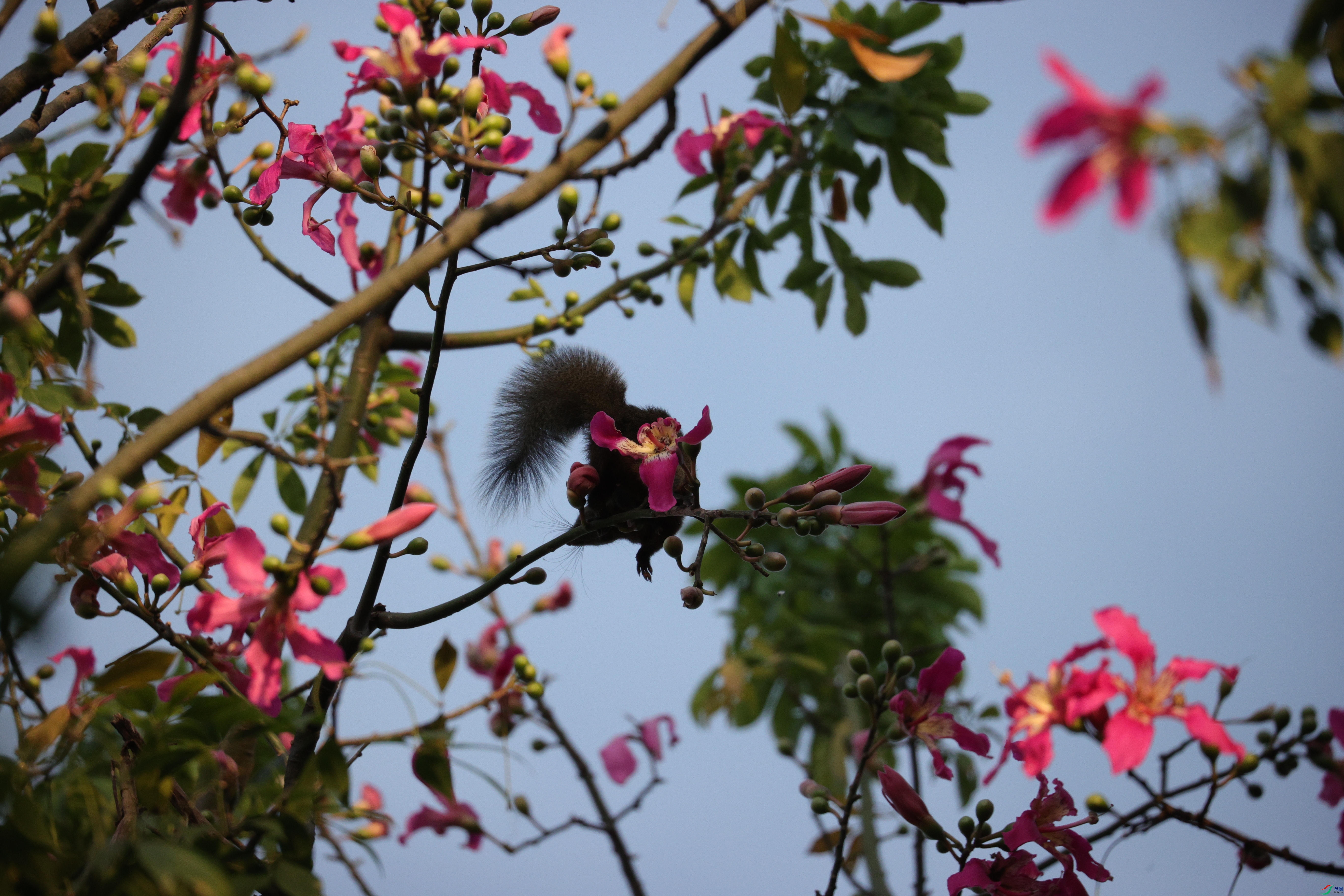 5919��ש����