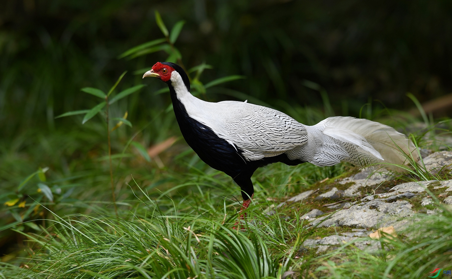 DSC_7667.jpg