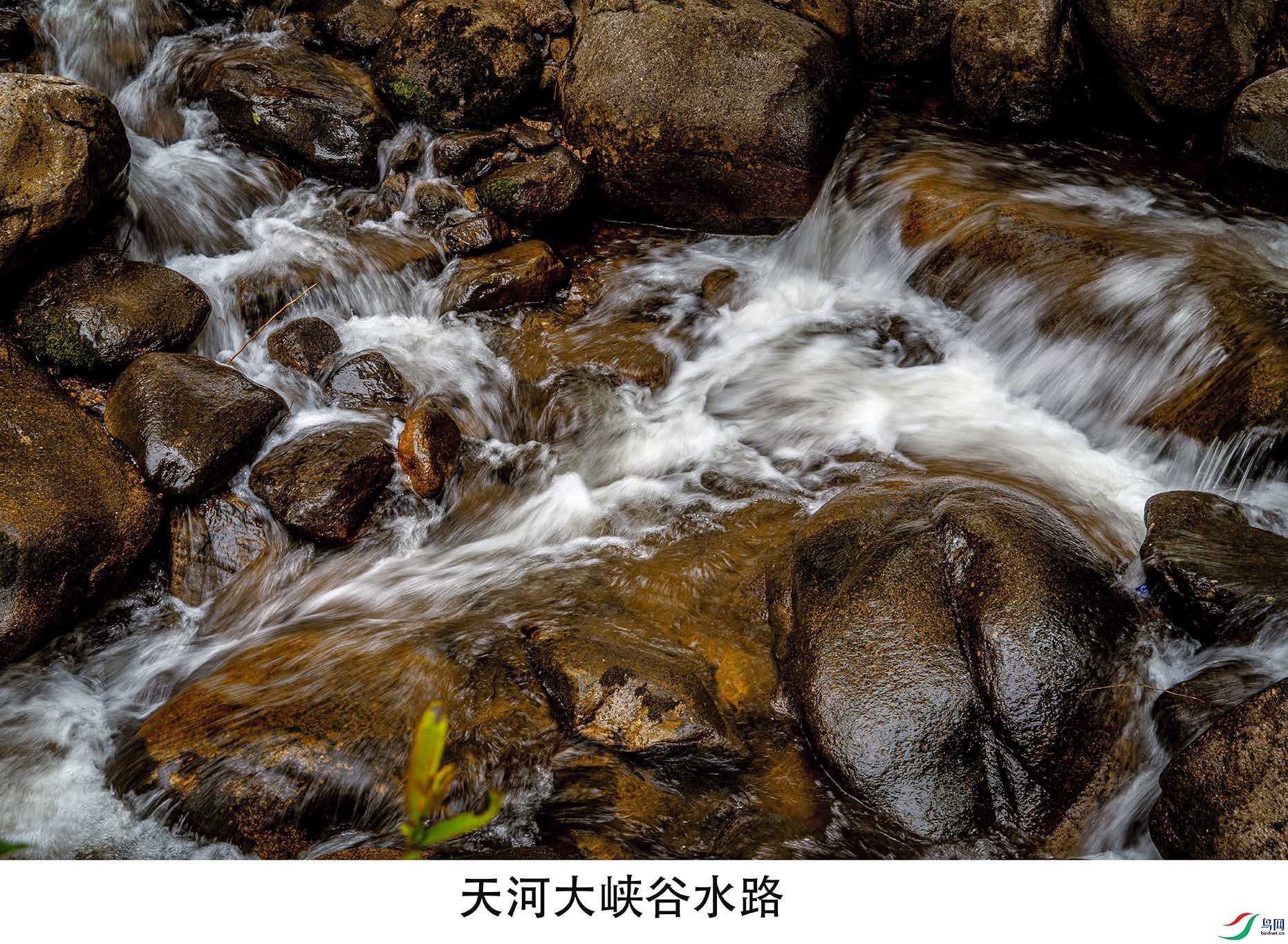 DSC07116 ����.jpg