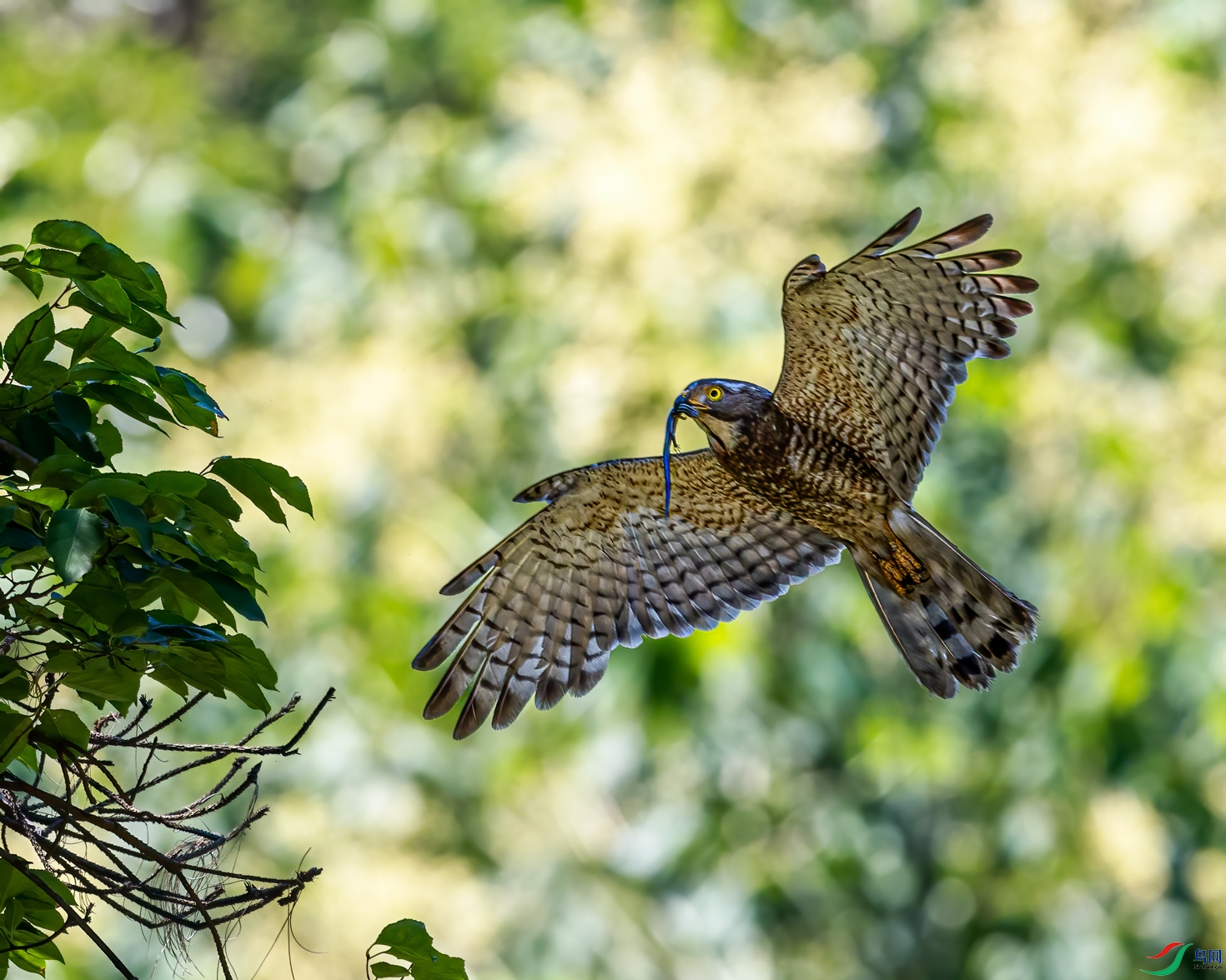 ���Թ���һһ������