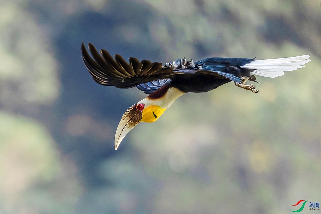 0F7A1351 ����.jpg