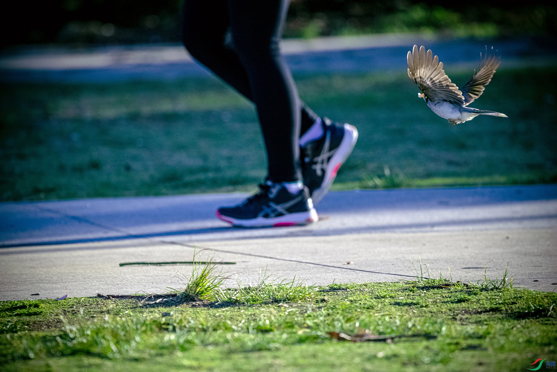 ��������Ŷ