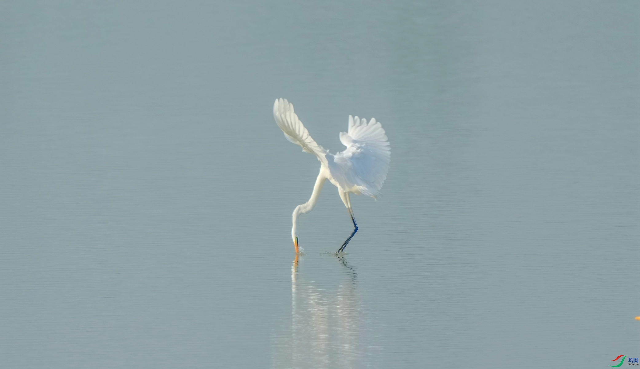 DSC04658_������ �ѷ� ��.jpg