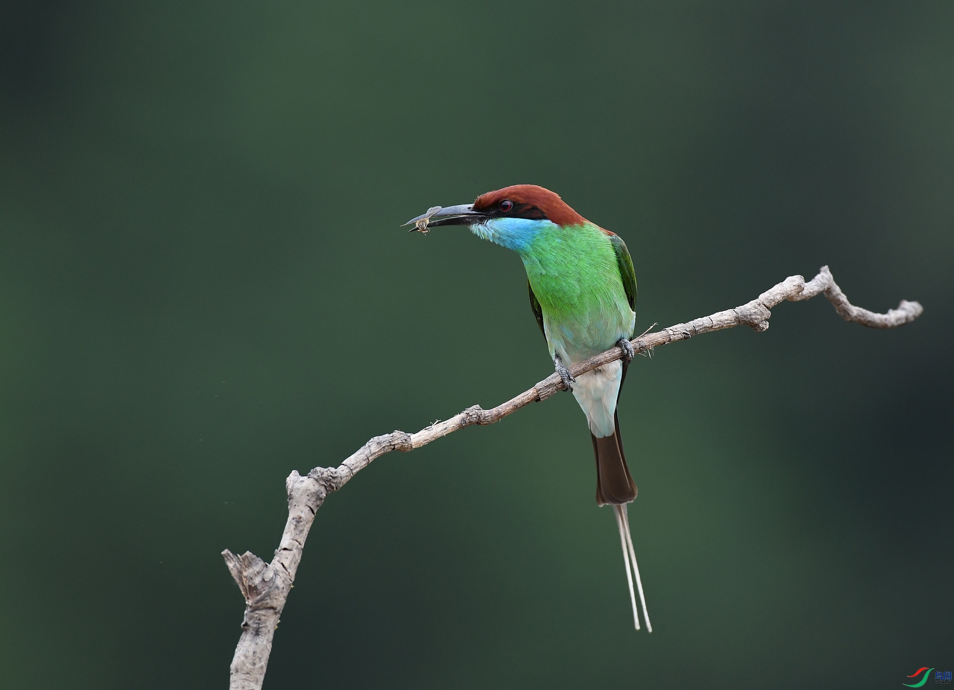 DSC_8460.jpg
