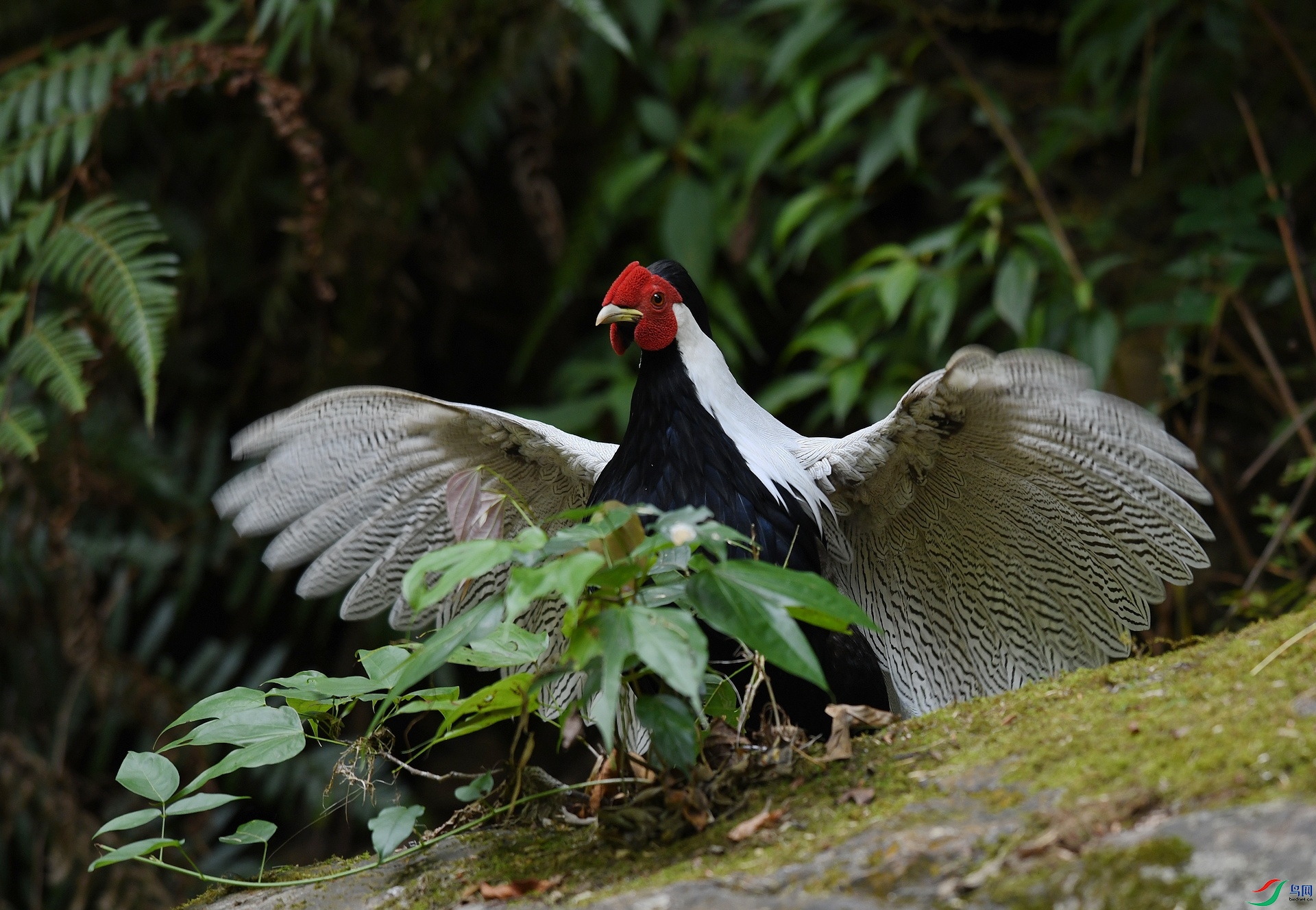 DSC_8459.jpg