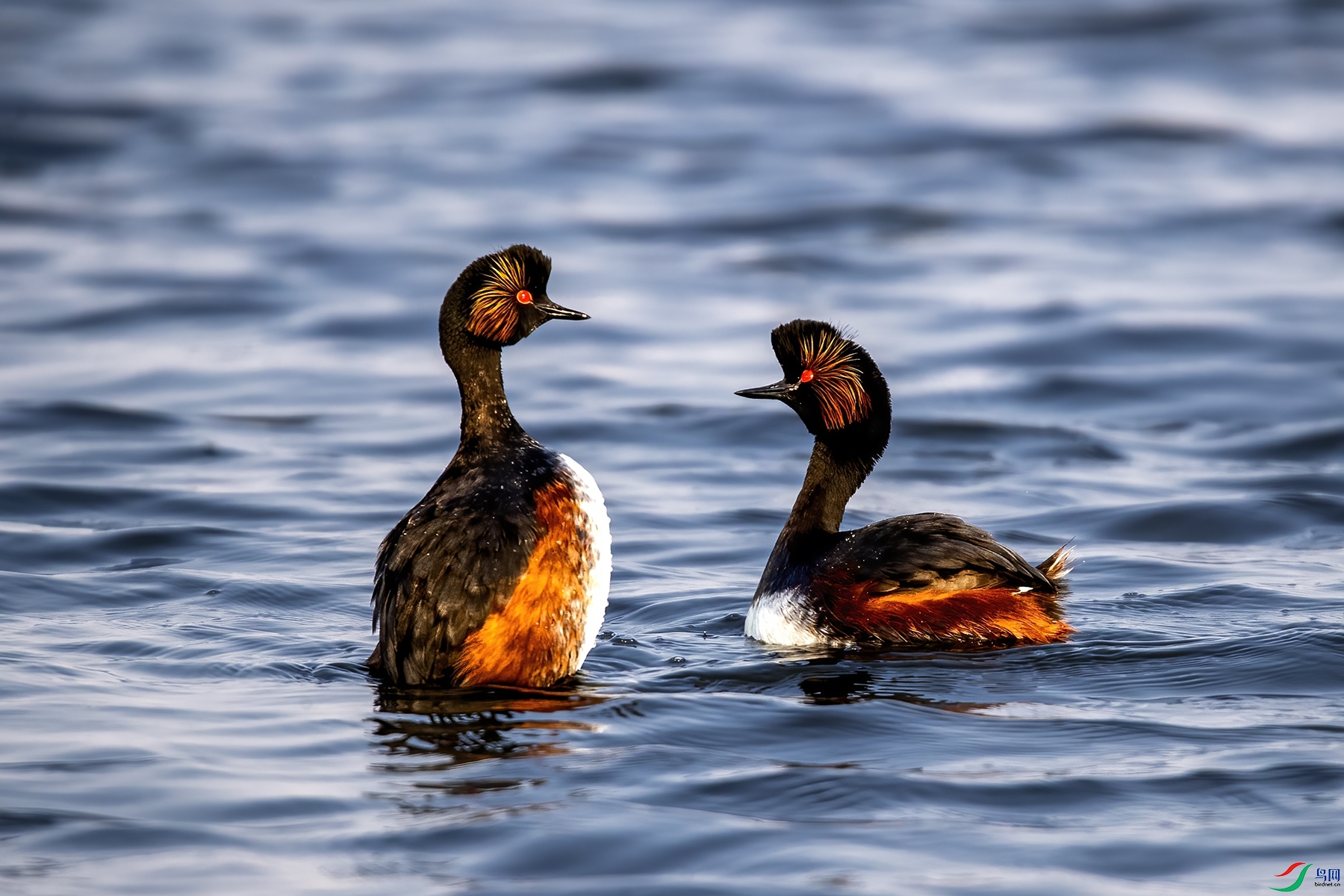 AW4I6057 ����_����.jpg