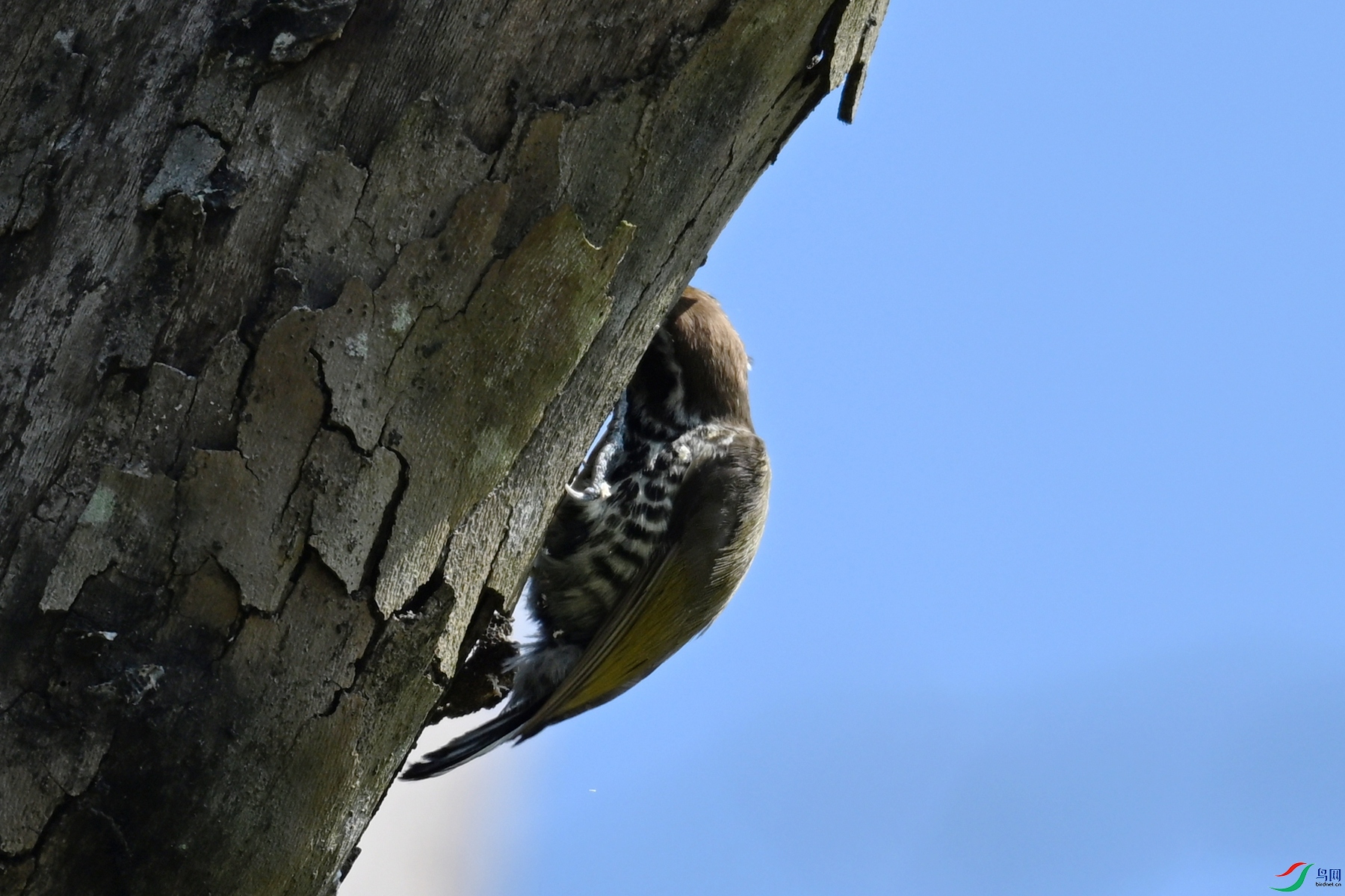 DSC_8951.JPG