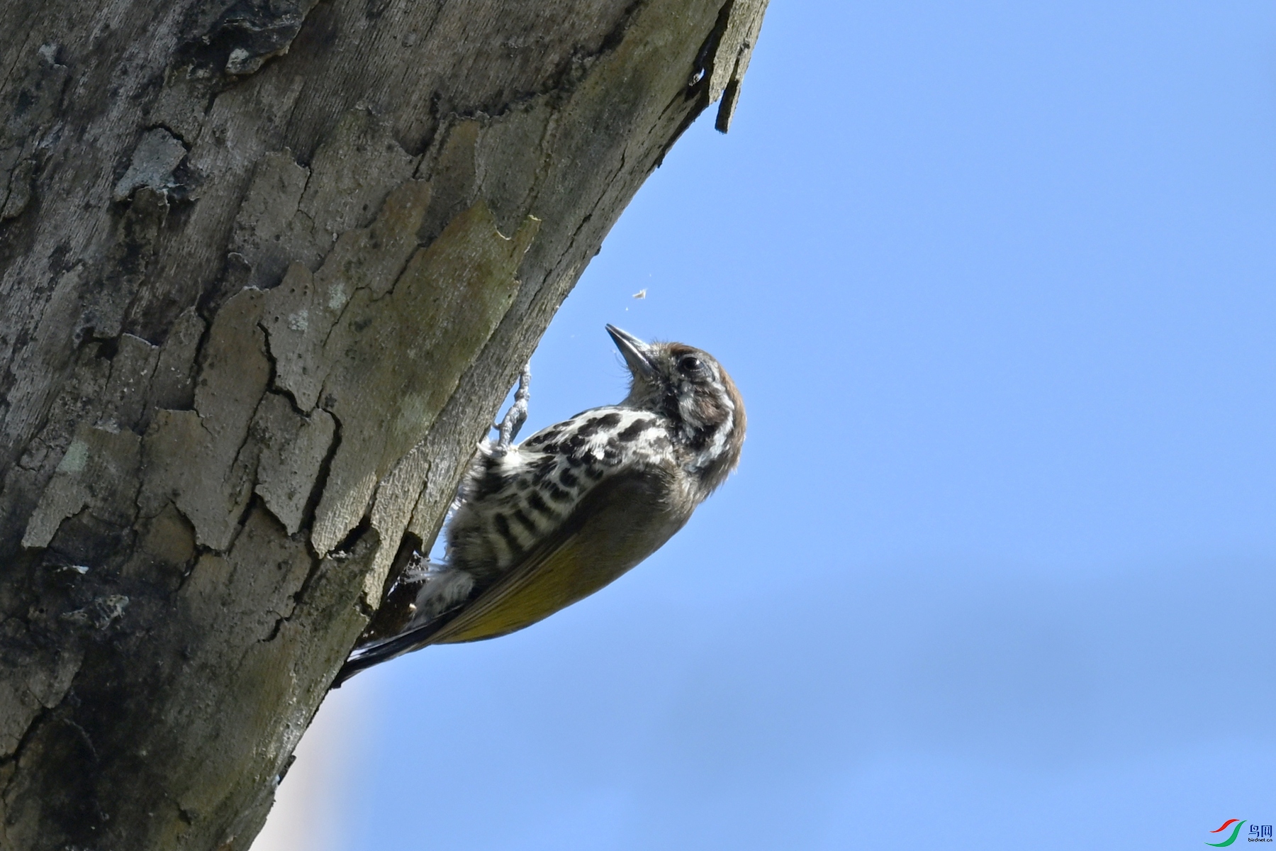 DSC_8954.JPG