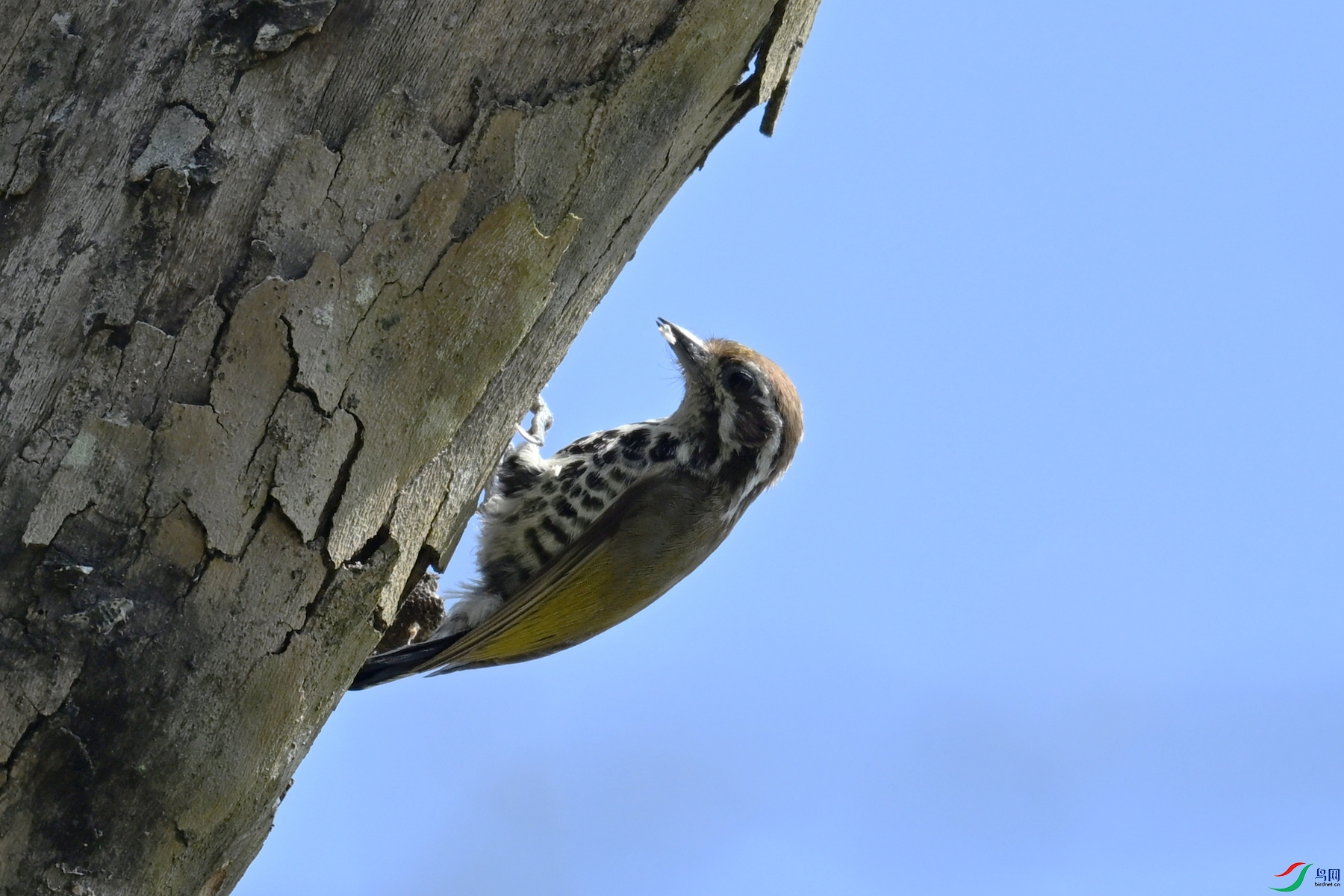 DSC_8935.JPG