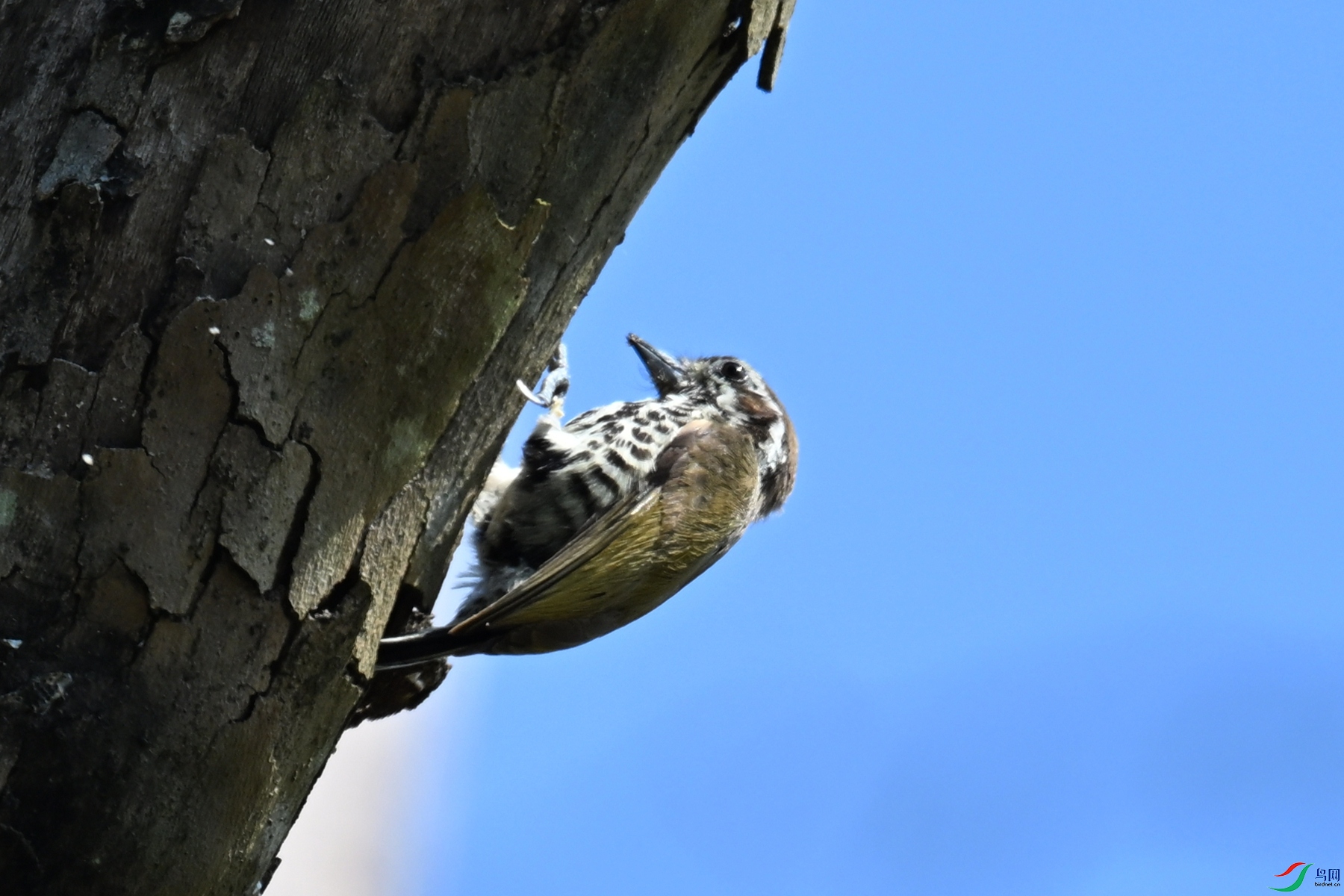 DSC_8945.JPG