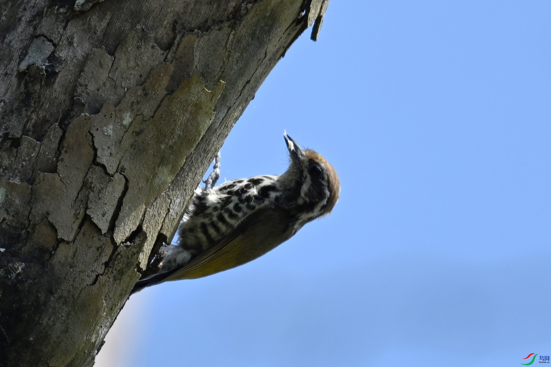 DSC_8958.JPG