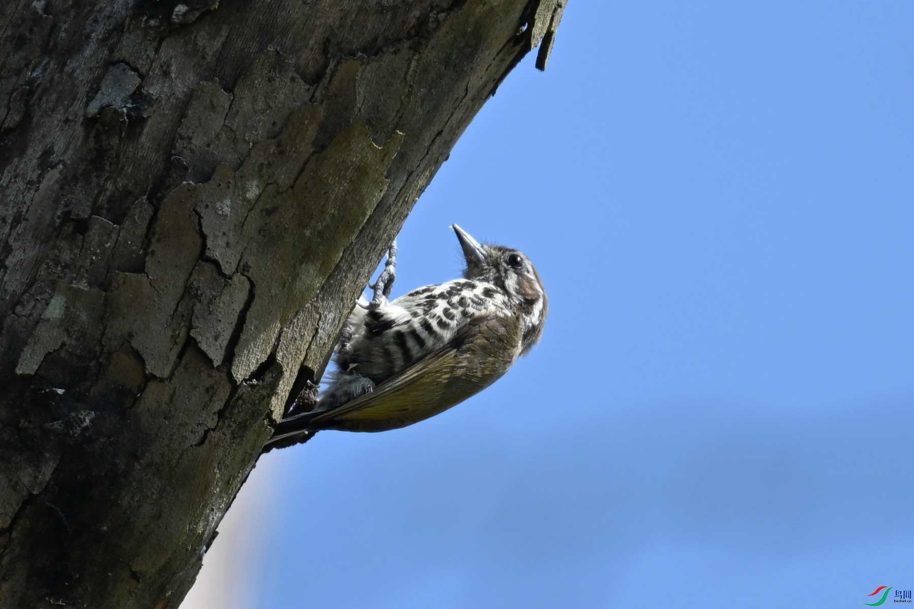 DSC_8960.JPG