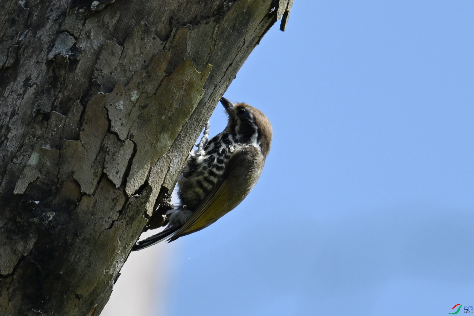 DSC_8952.JPG